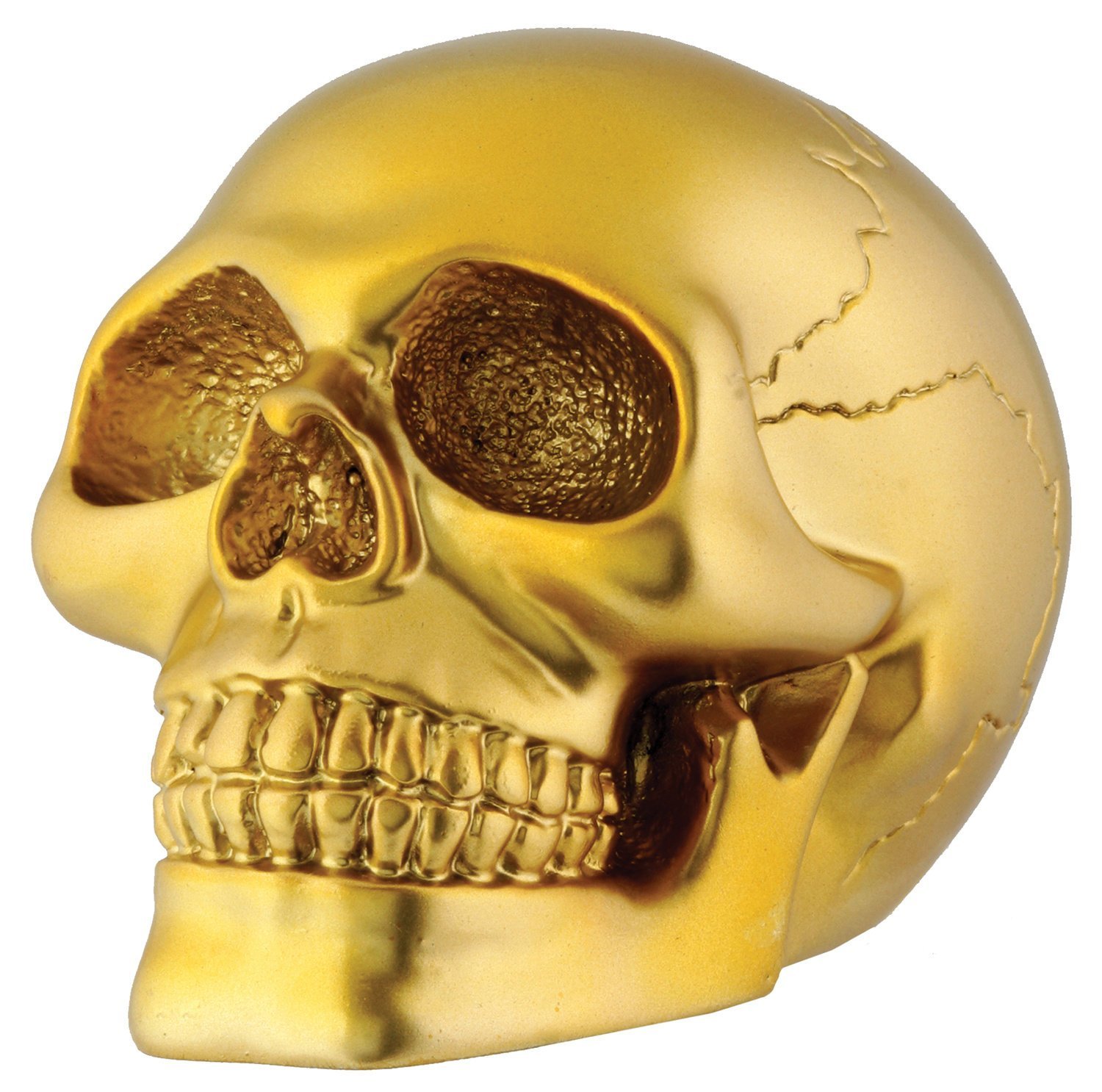 Amazon.com: Gold Skull Head Collectible Skeleton Decoration Figurine ...