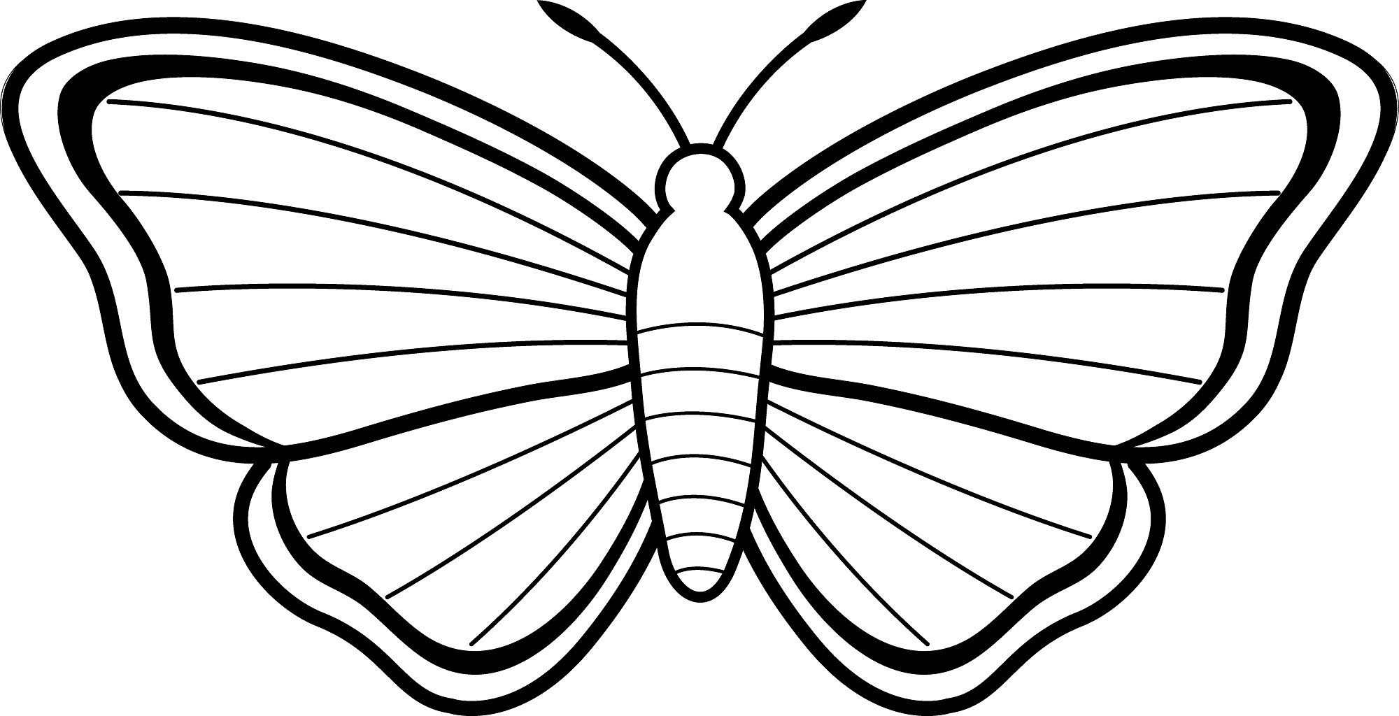 Line Drawing Butterflies at GetDrawings.com | Free for personal use ...