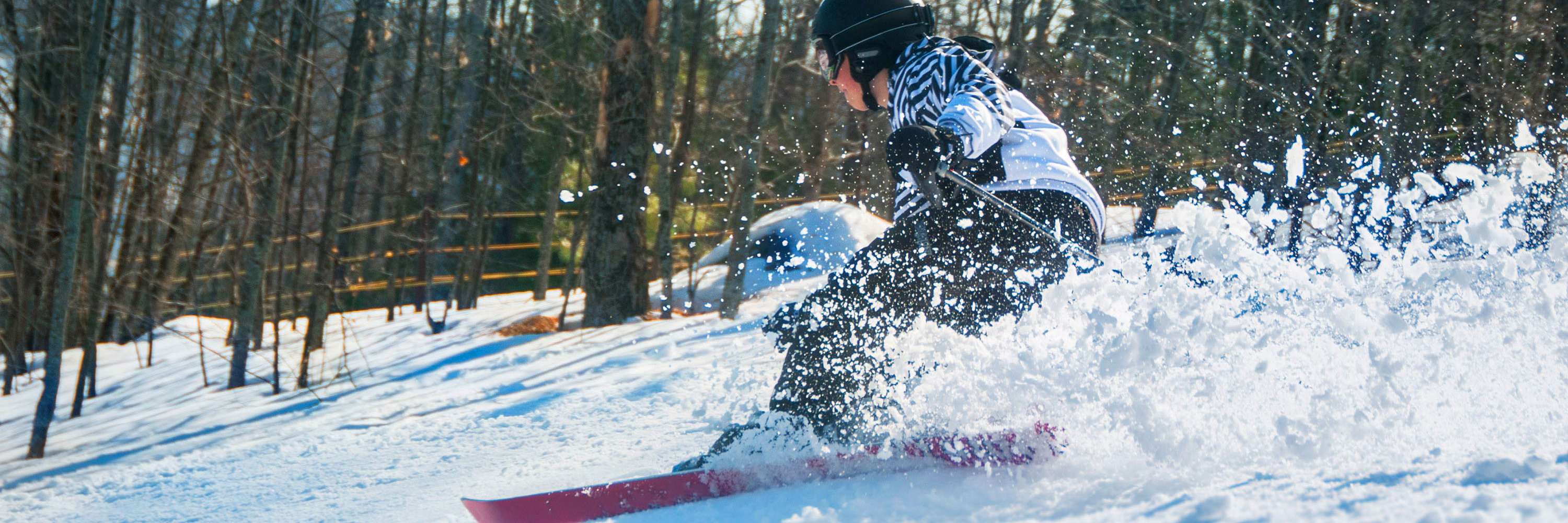 Skiing and Snowboarding | Michigan