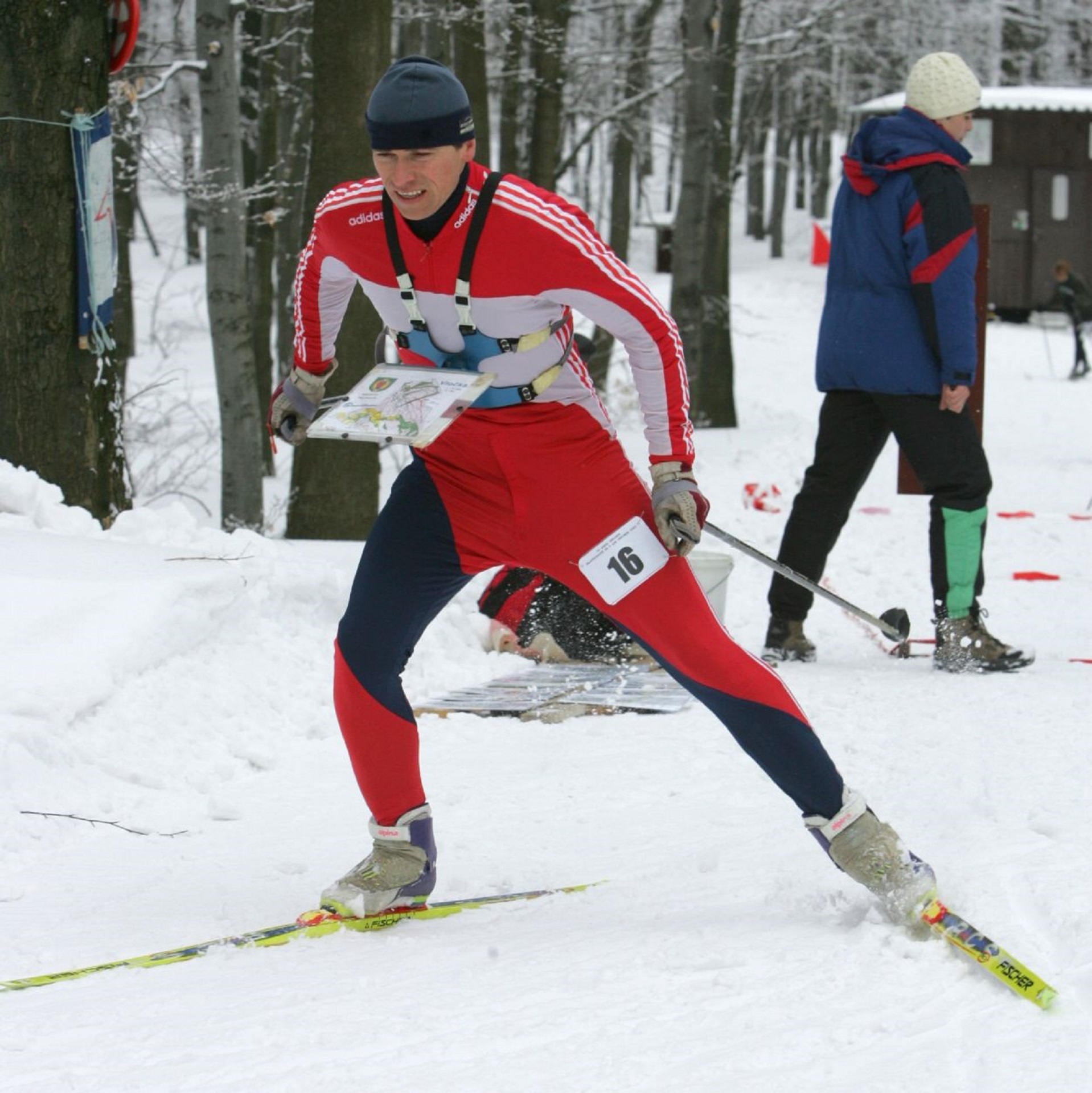 Skiing in winter photo