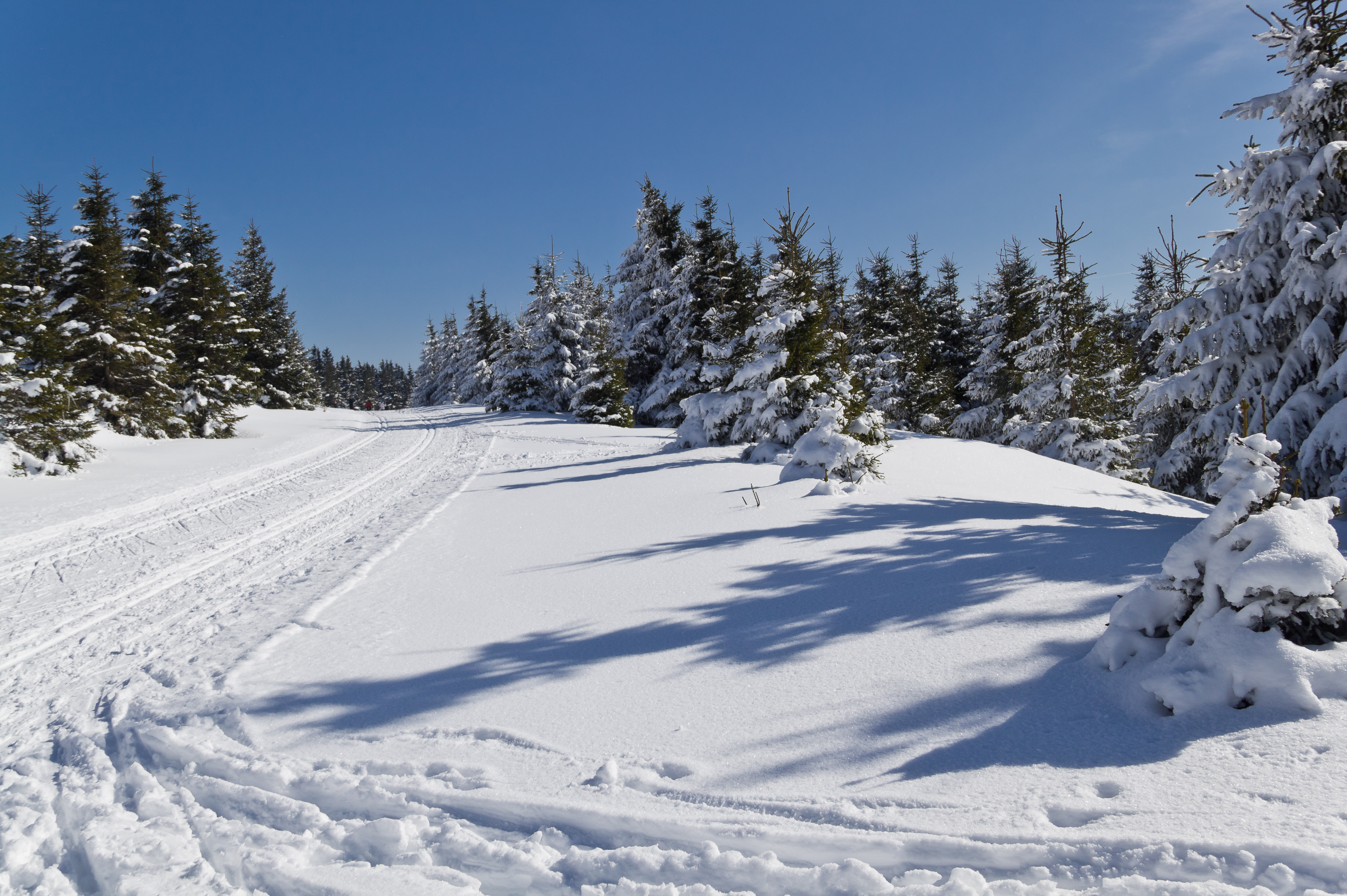 Skiing track photo