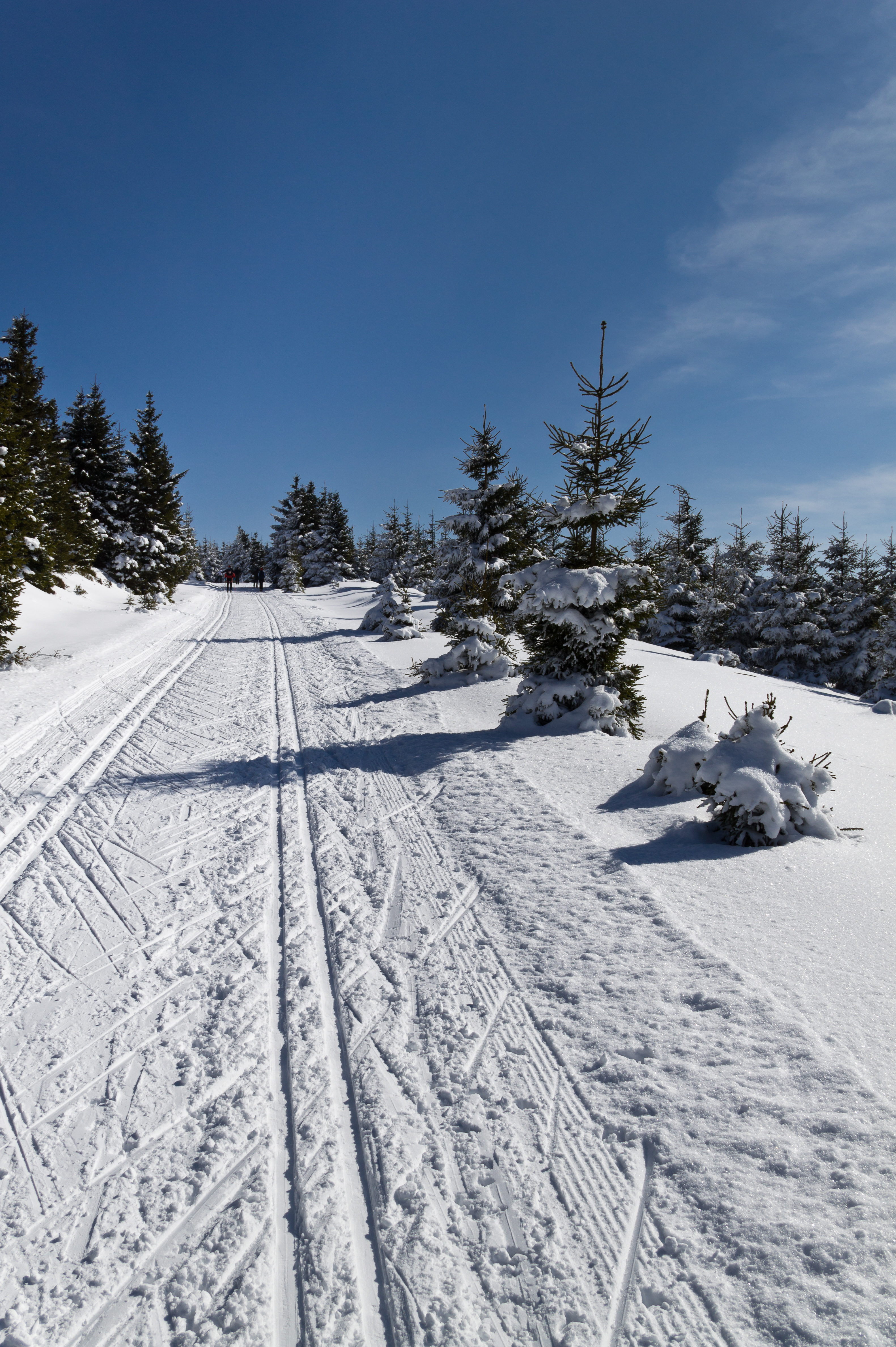 File:Skiing in Oberhof March 2013-12-Ski track.jpg - Wikimedia Commons