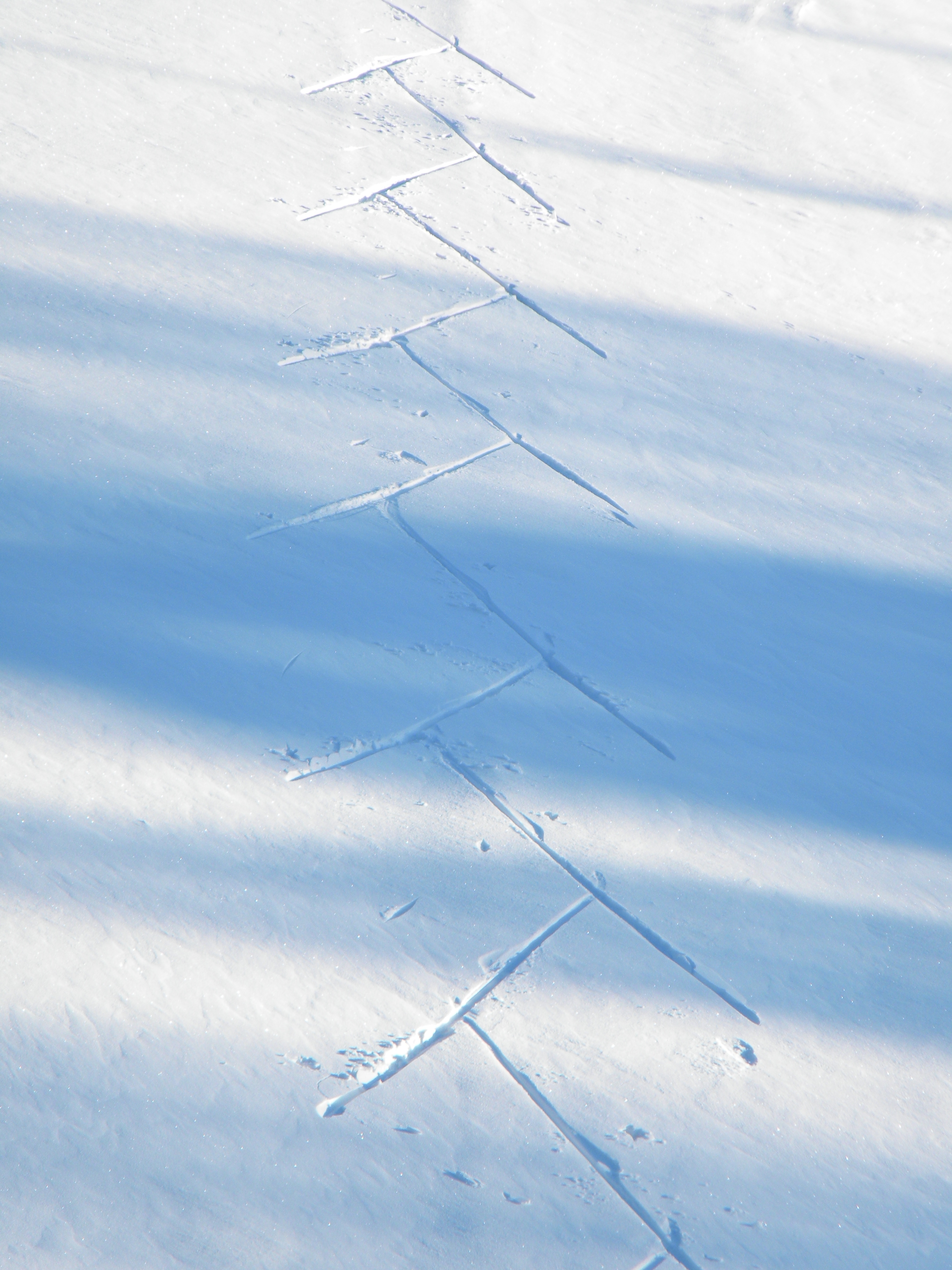 File:Skiing tracks track pattern of skating in cross country skiing ...