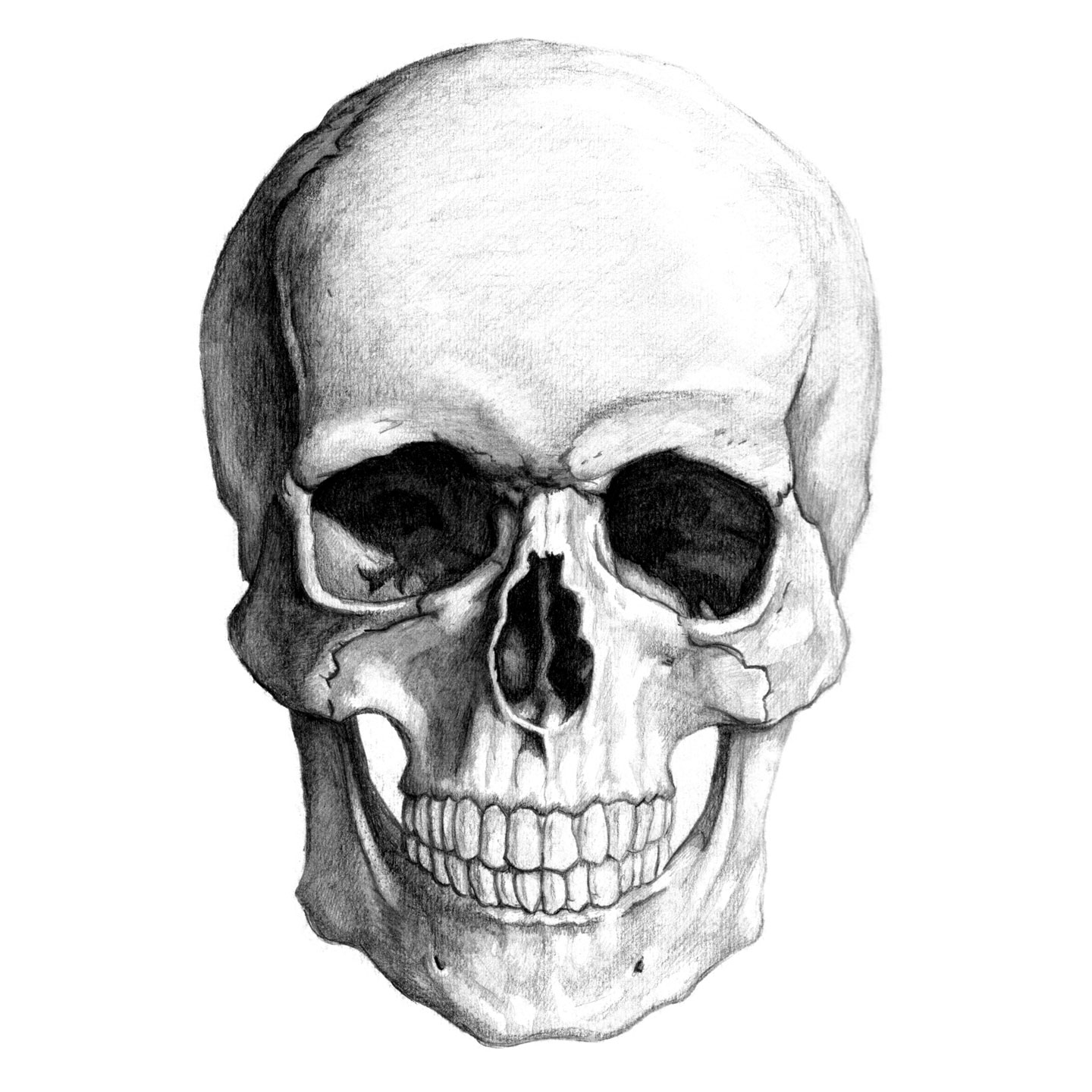 Kernie Cam Productions: Gallery: Skull Pencil Drawing