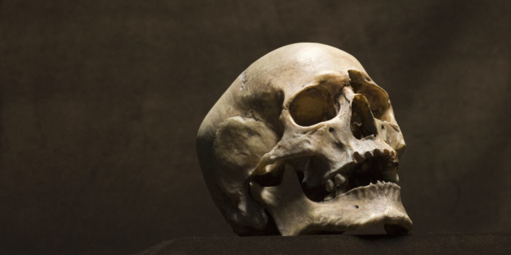 5 of the Strangest Skulls Ever Discovered - GhostHunt Uk