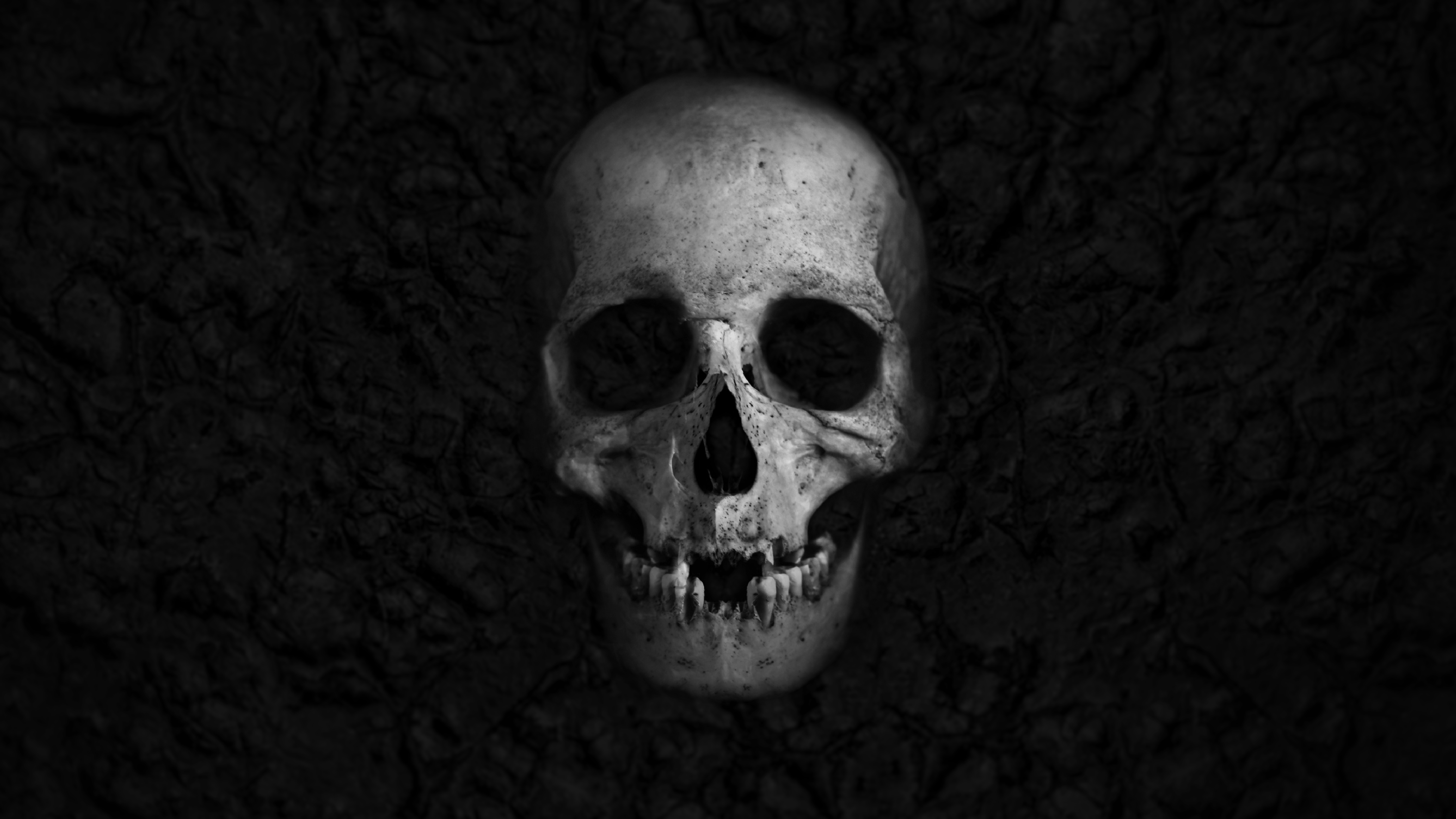 Wallpaper Skull, HD, 5K, Others, #5472