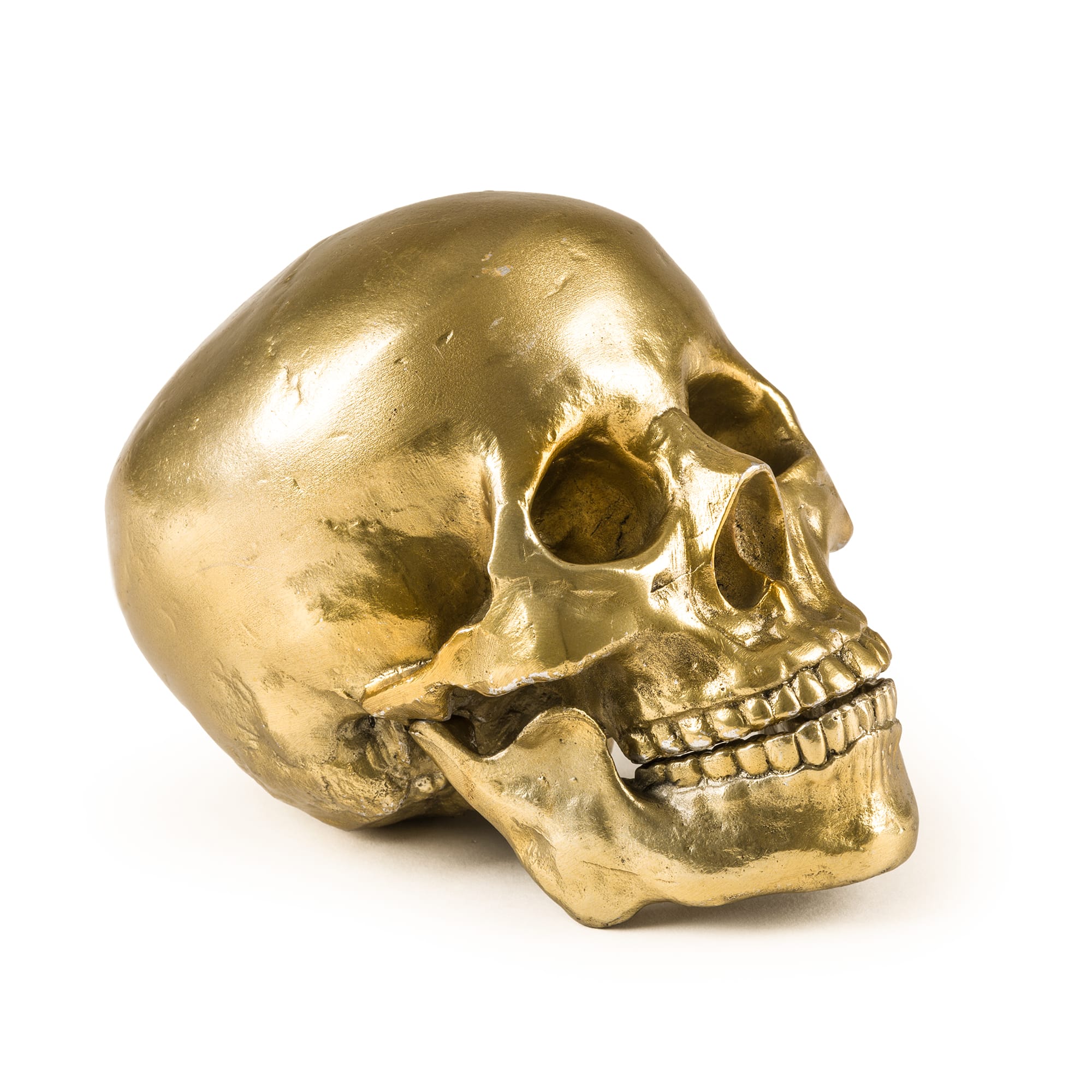 Wunderkrammer Human Skull – Seletti