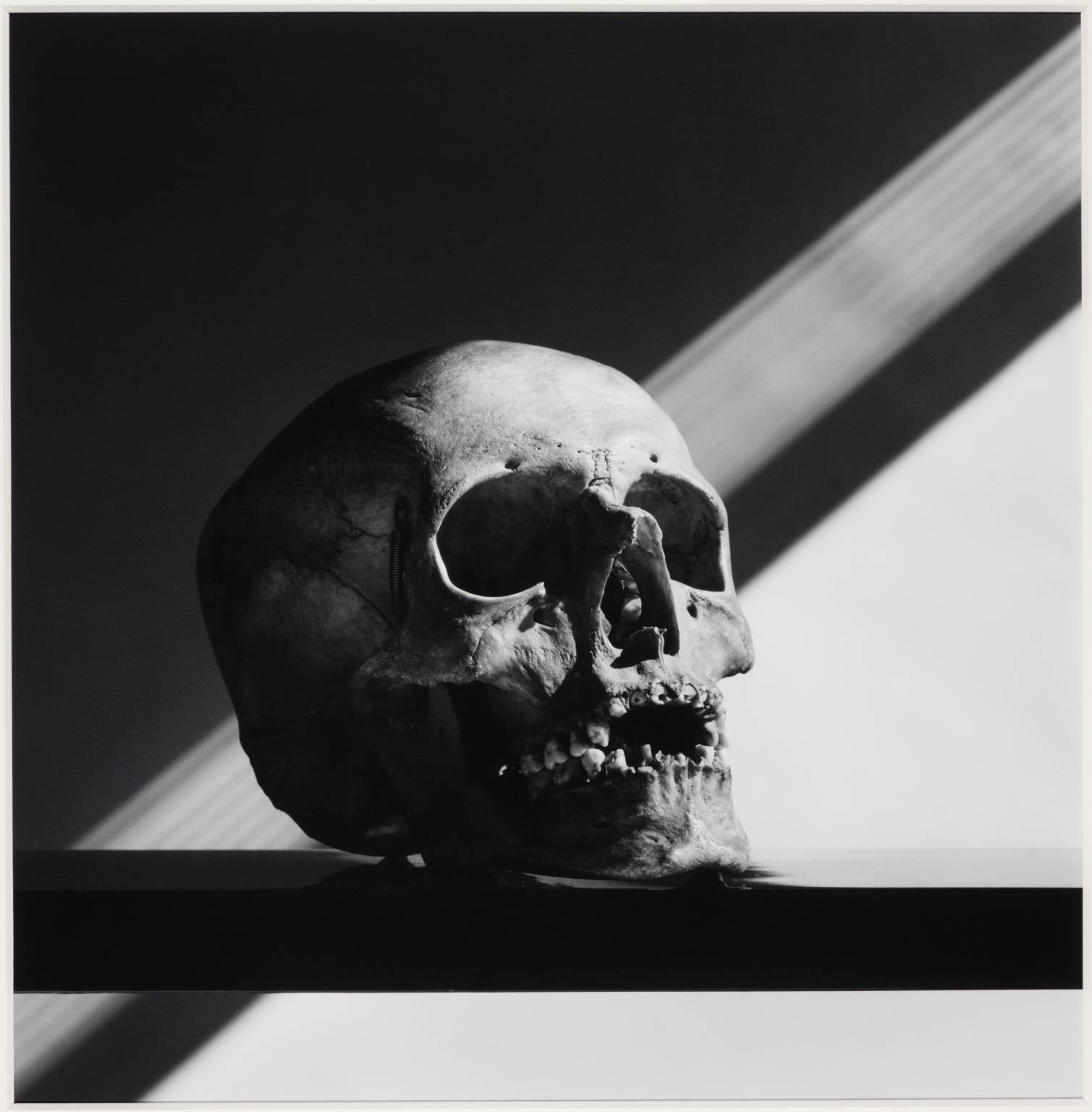Skull', Robert Mapplethorpe, 1988, printed 1990 | Tate