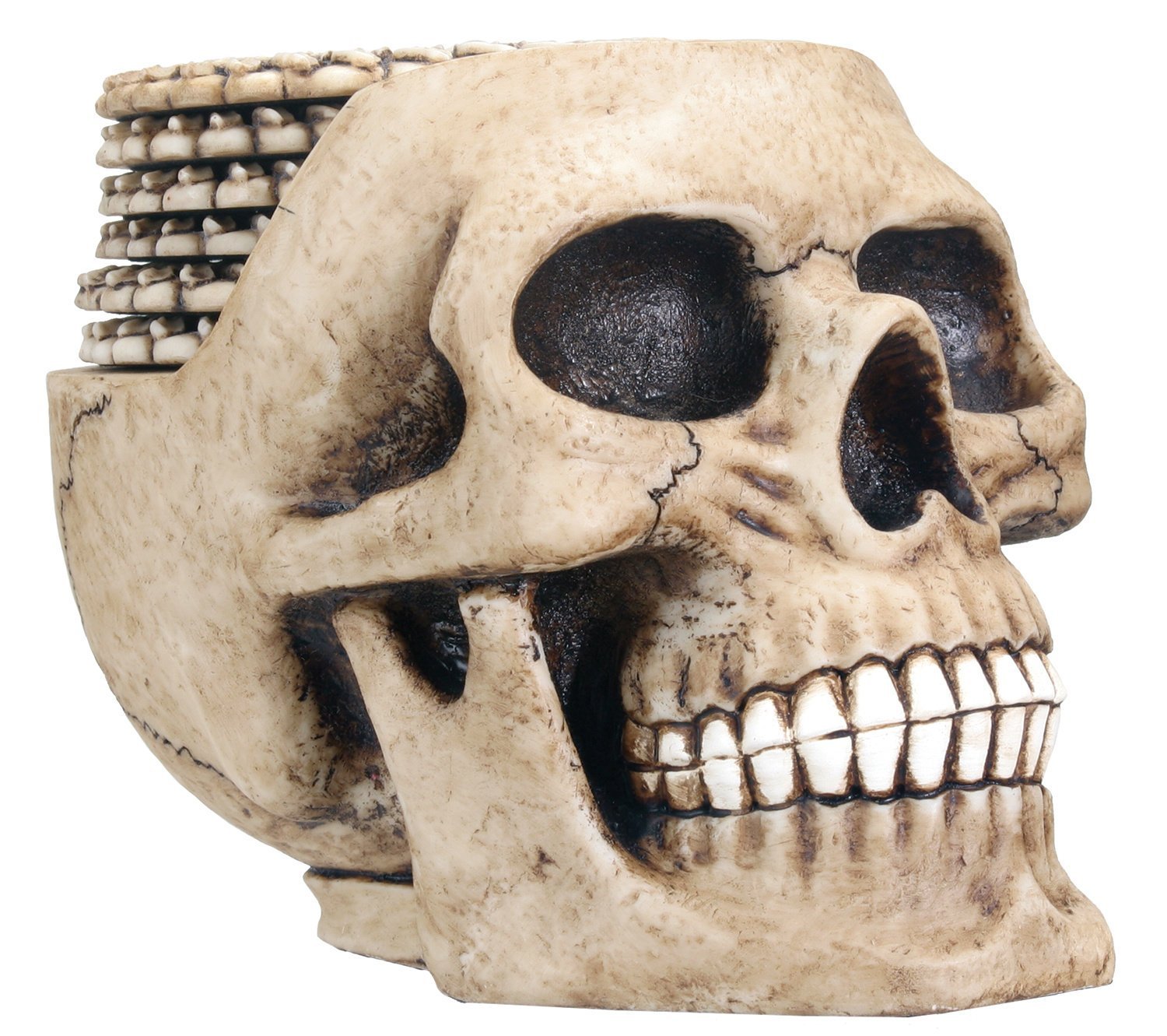 Amazon.com: Skull Coaster Set (6 Coasters) Collectible Skeleton ...