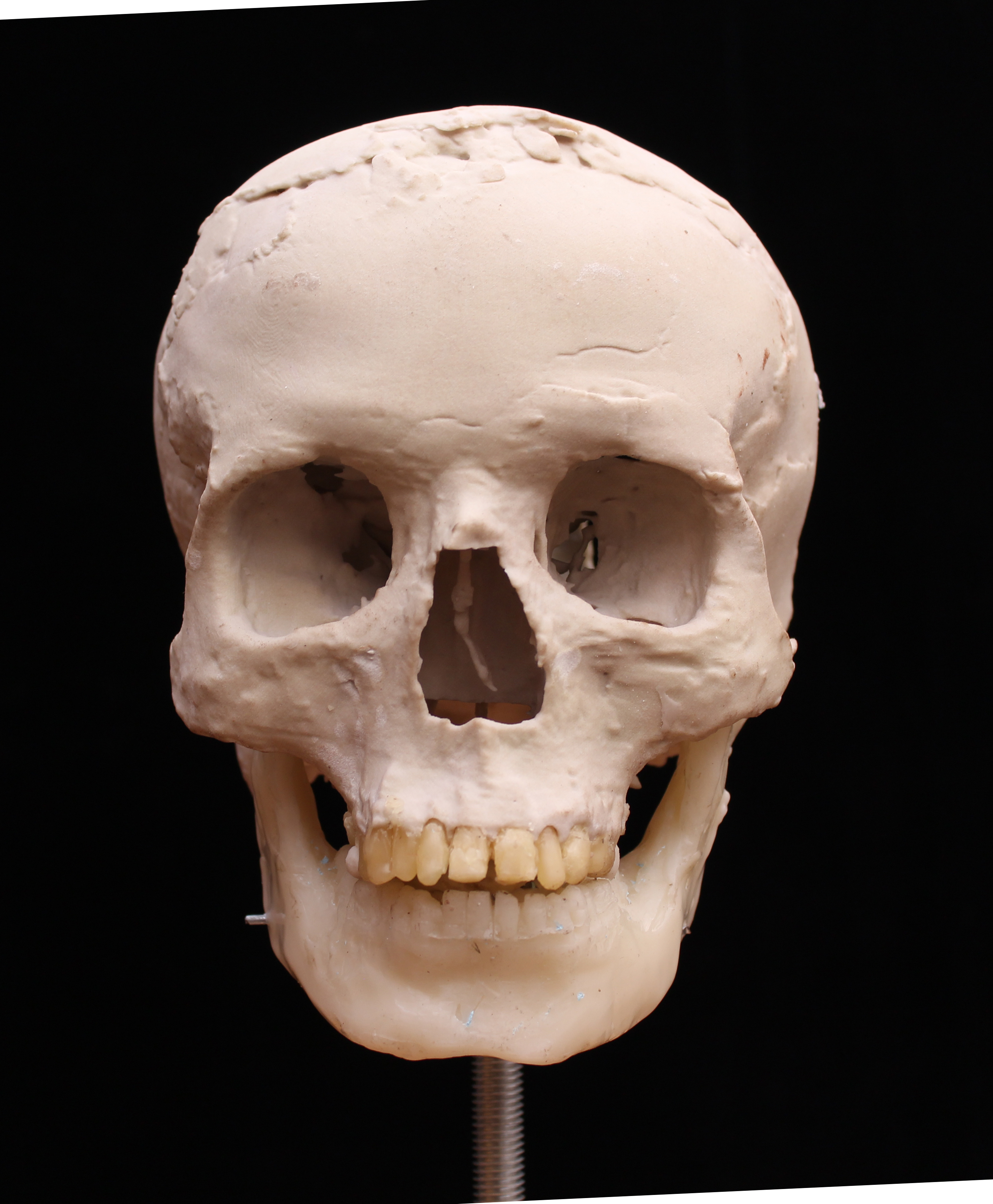 A 9,500-year-old skull gets a 3D makeover - CNN Style
