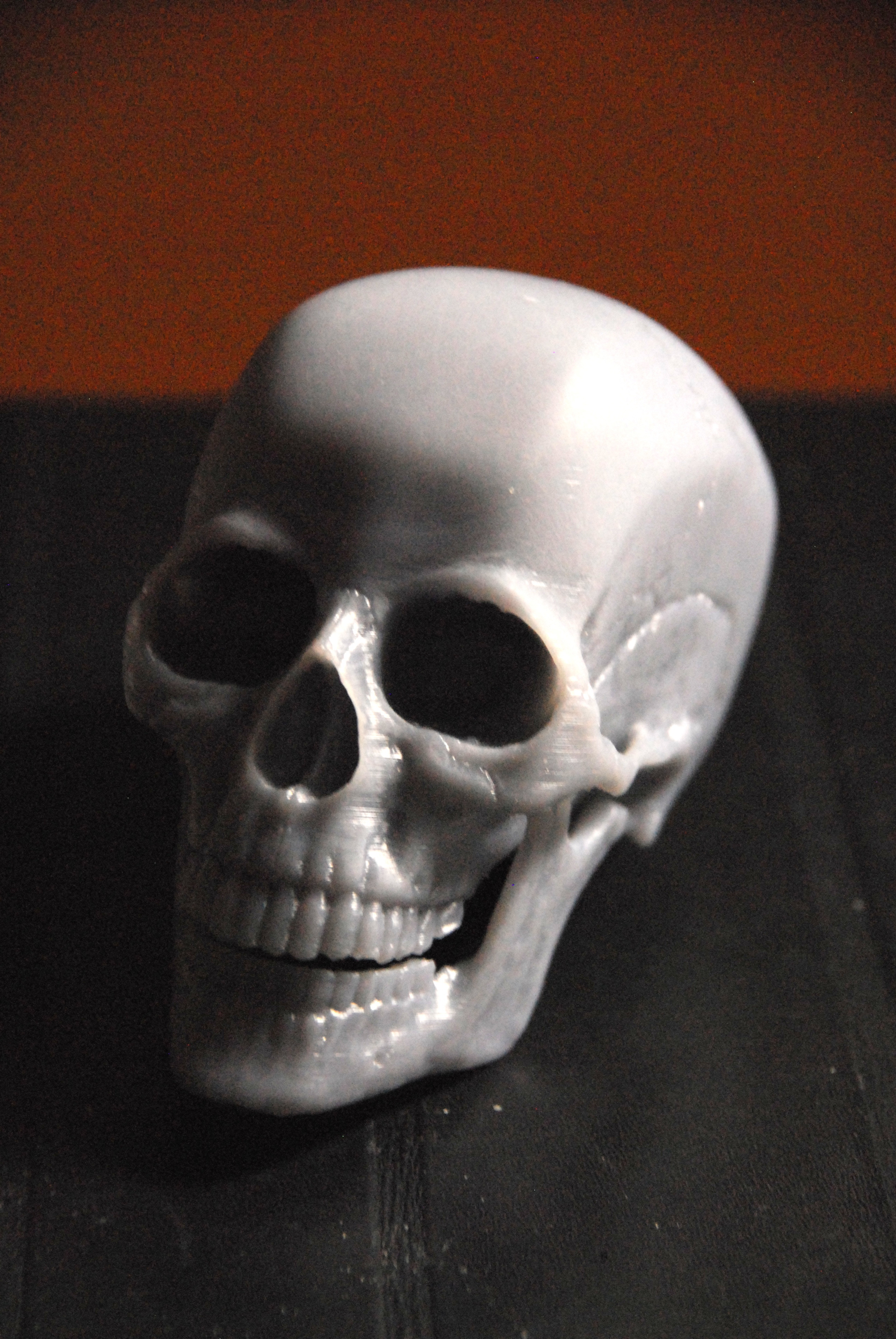 3D Printed Human Skull by bchan | Pinshape