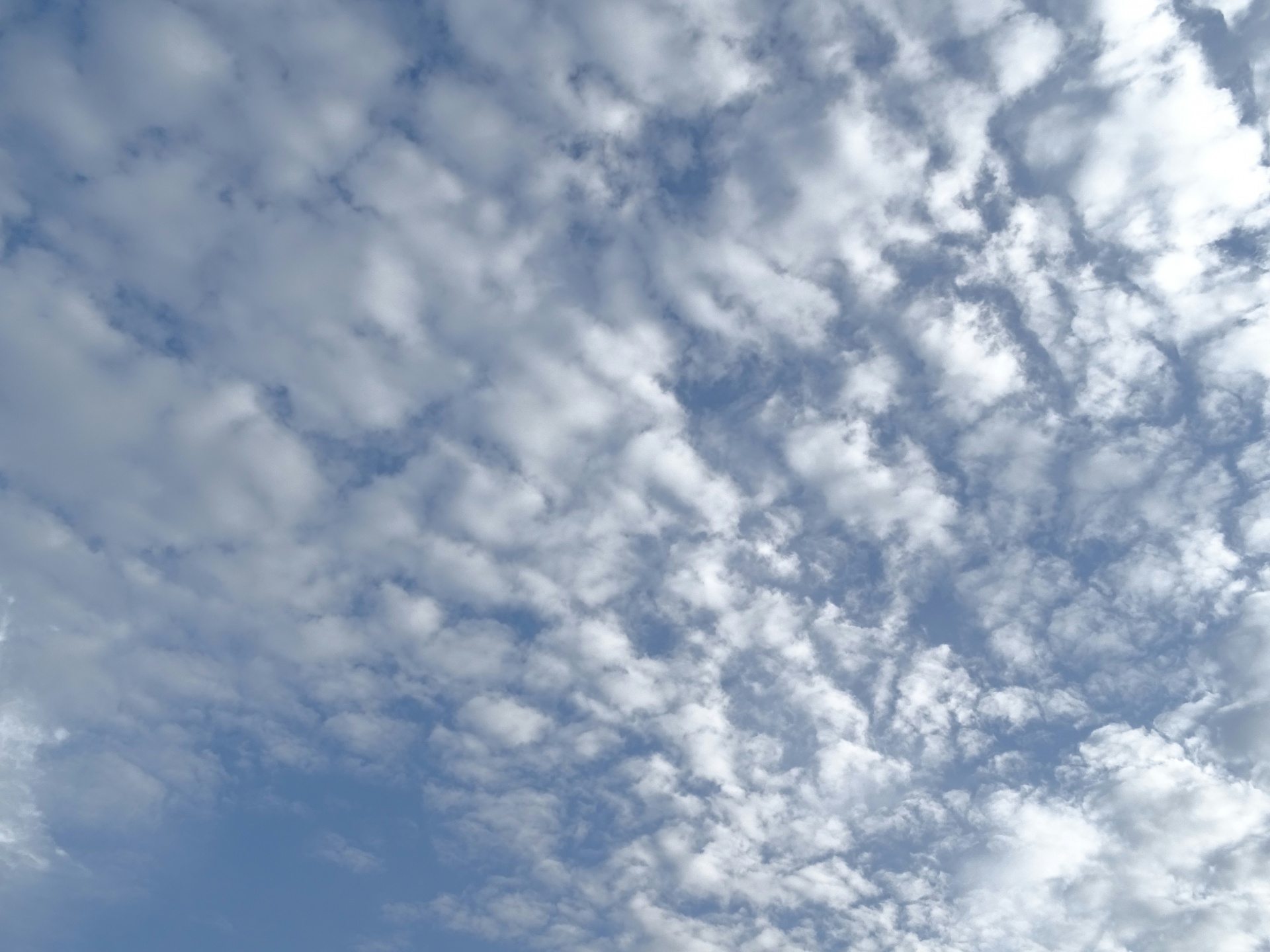 Sky And Clouds Wallpaper Background Free Stock Photo - Public Domain ...