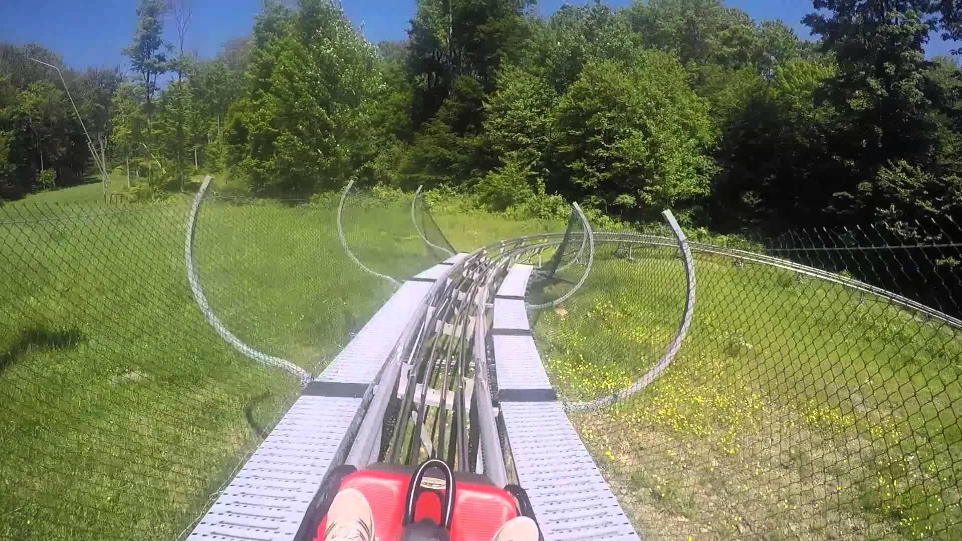 Full throttle at the Mountain Coaster at Ellicottville's Sky High ...