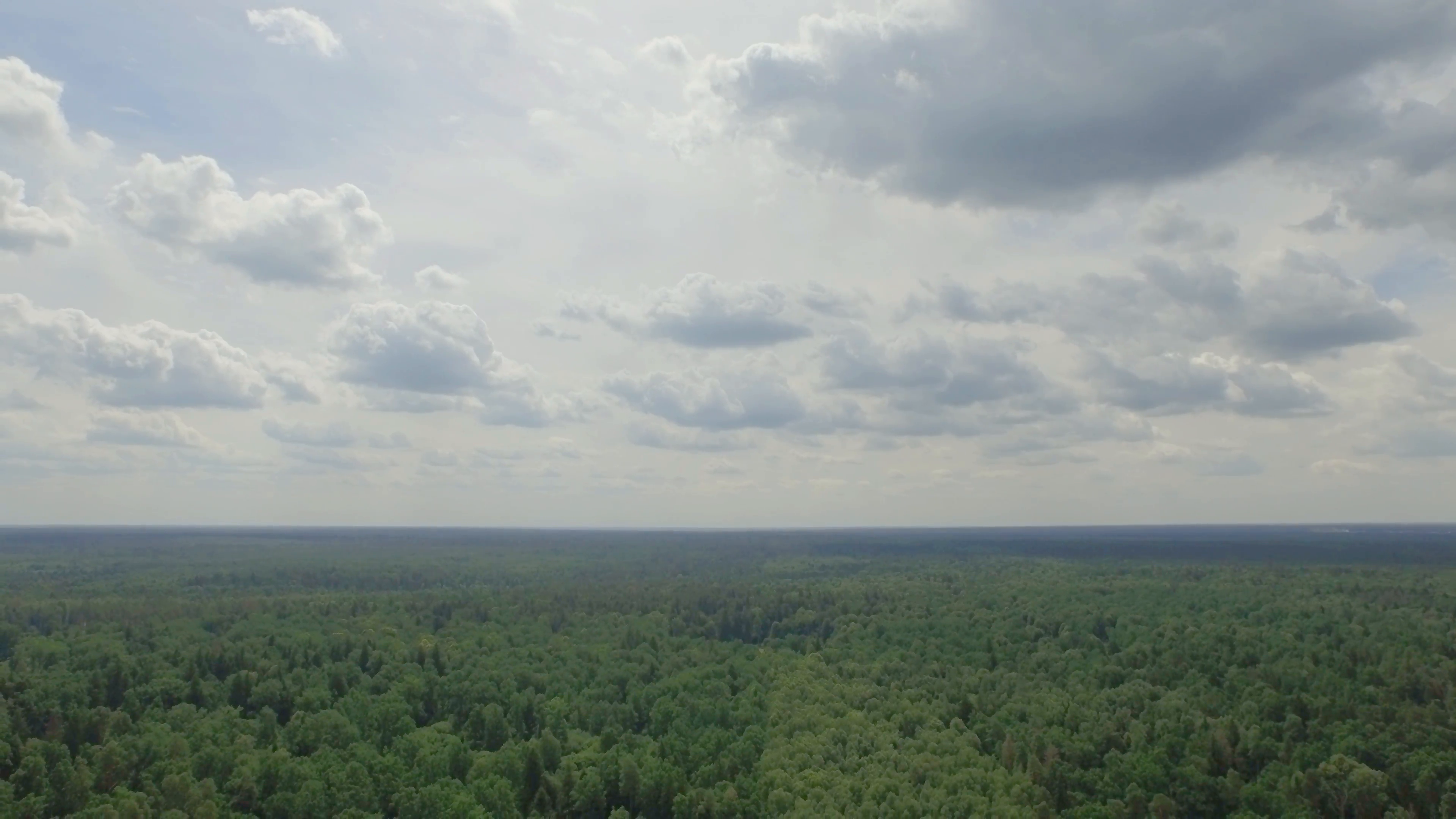 sunny day summer cloudy sky forest aerial panorama belarus Stock ...