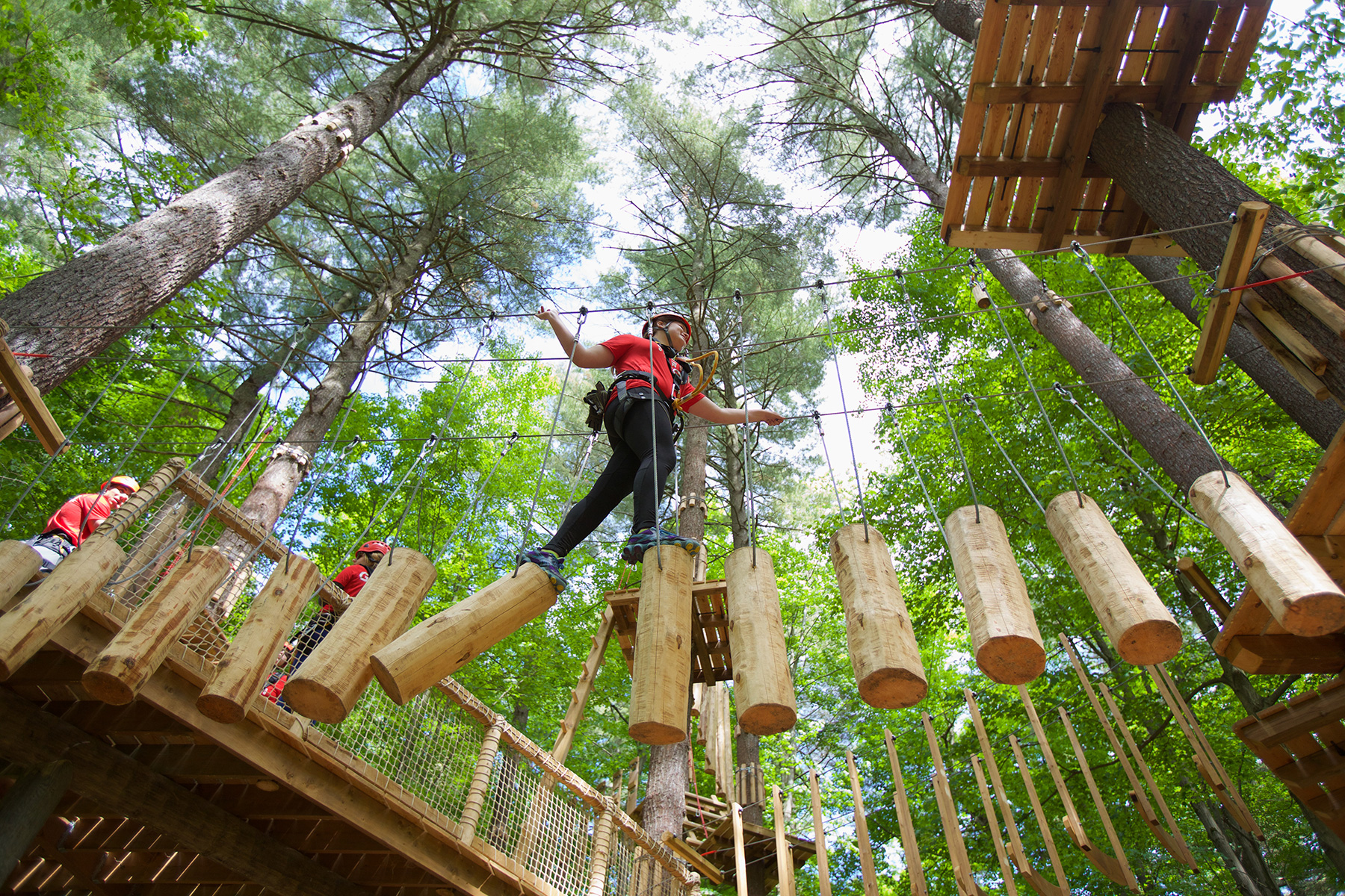 Skywood Eco Adventure | Visit Kingston | Your Next Get-Away Is Here