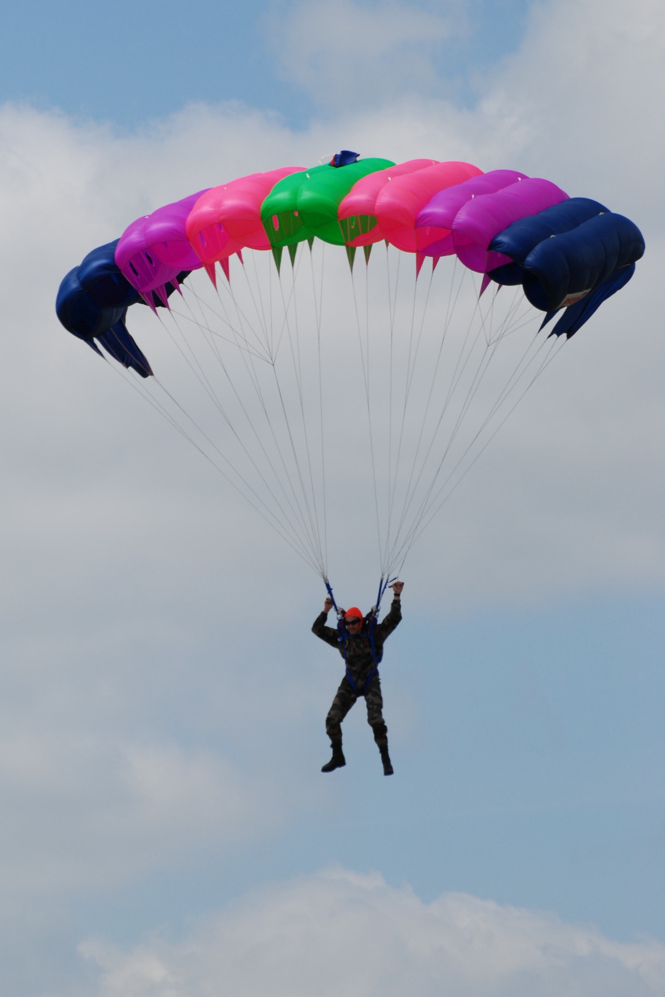 File:Skydiver - AirExpo Muret 2007 0240 2007-05-12.jpg - Wikimedia ...