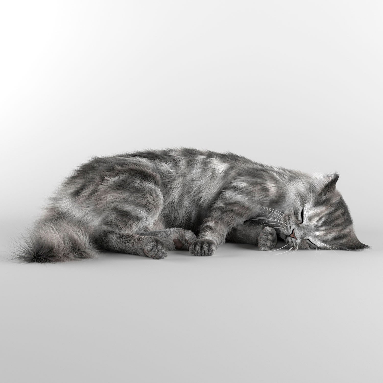 Sleeping cat 3D Model in Cat 3DExport