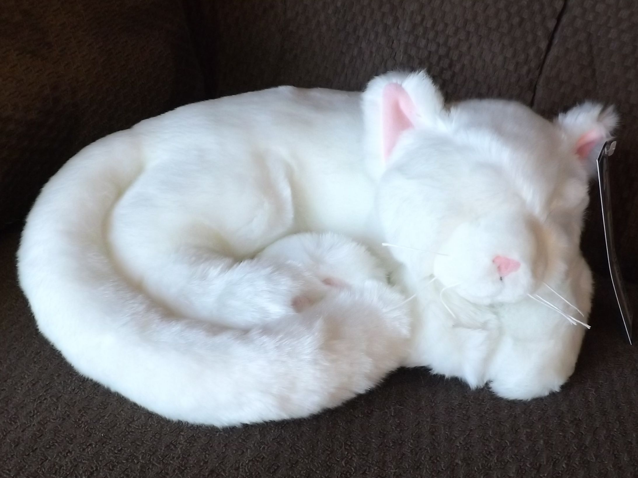 Plush Toy Sleeping White Cat – Stuffed Animal Sleeping Cat 11″ |