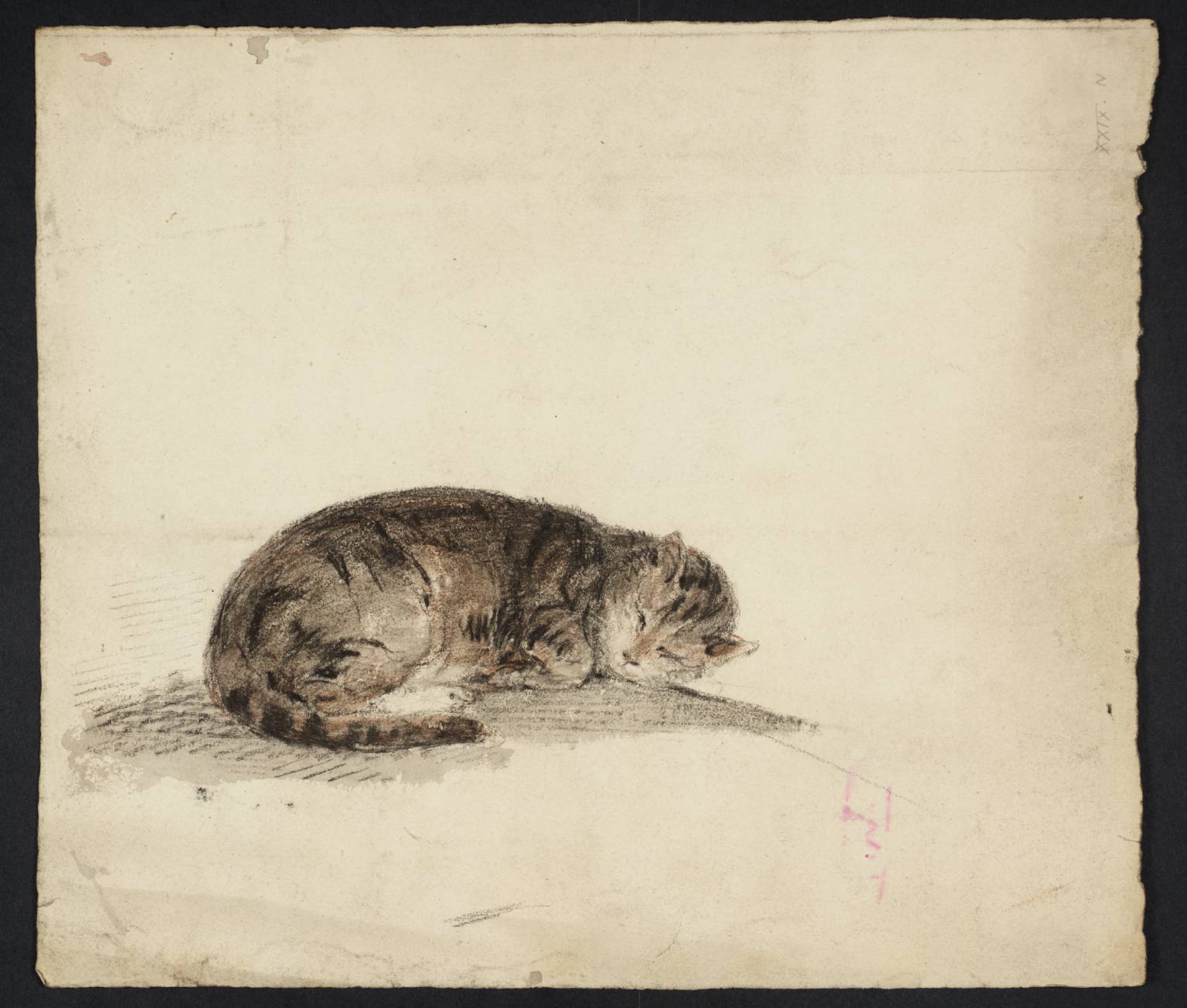 Study of a Sleeping Cat', Joseph Mallord William Turner, c.1796-7 | Tate