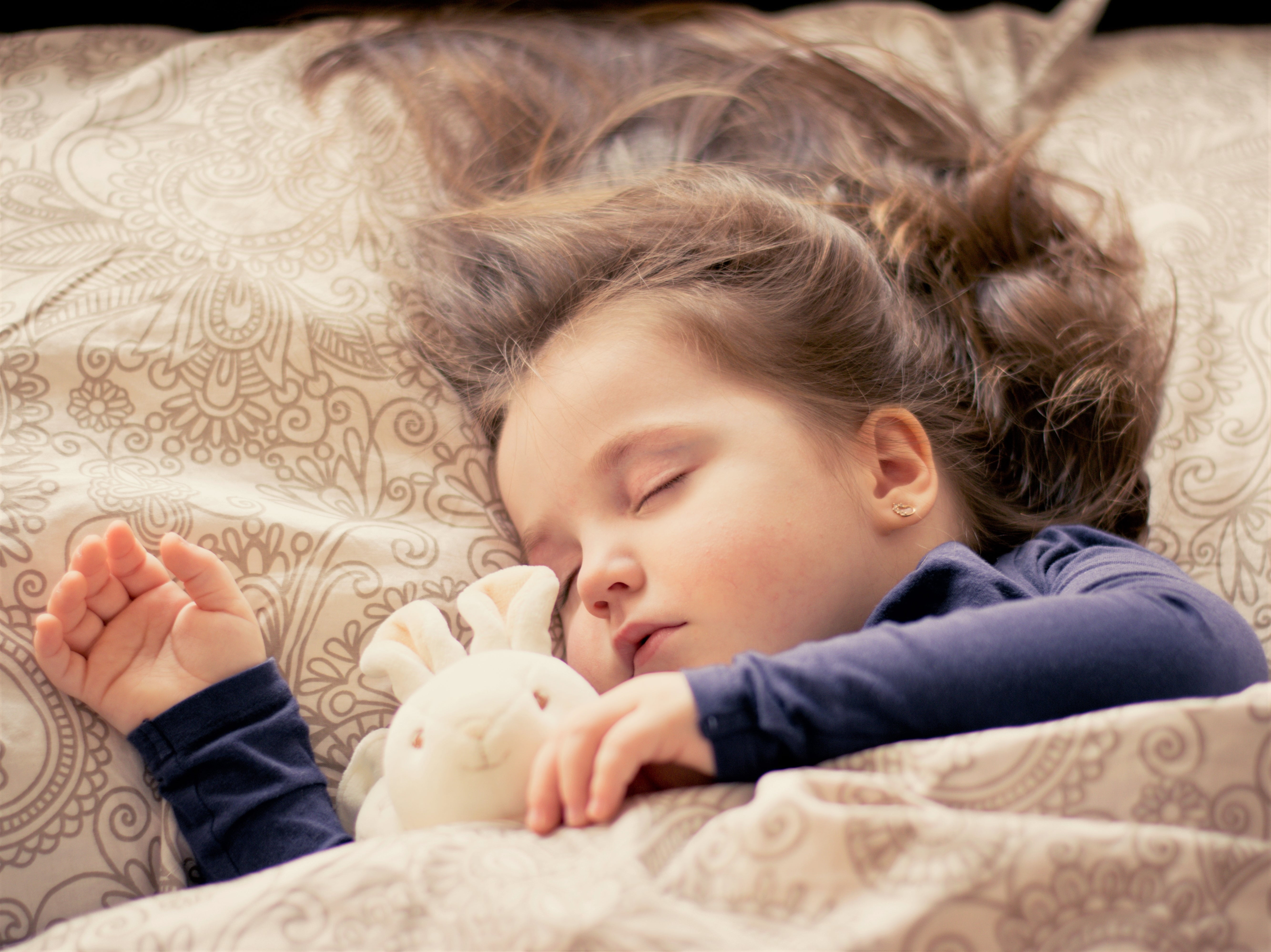 Sleeping girl with rabbit plush toy in her side HD wallpaper ...