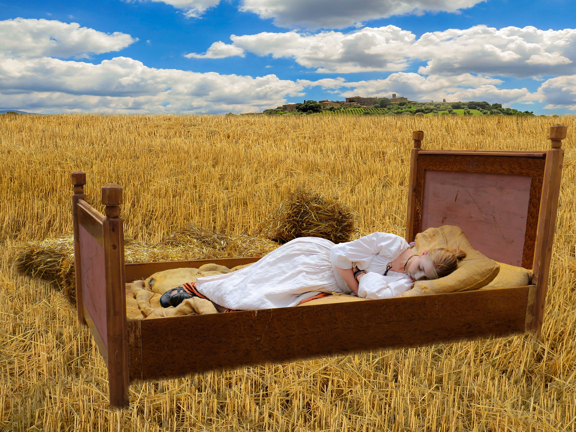 Sleeping in the Corn Field, Activity, Bed, Corn, Crop, HQ Photo