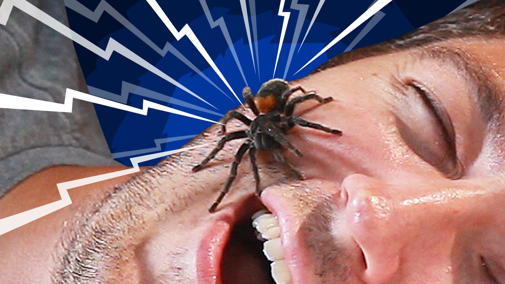Do You Really Swallow Spiders When You Sleep? - YouTube