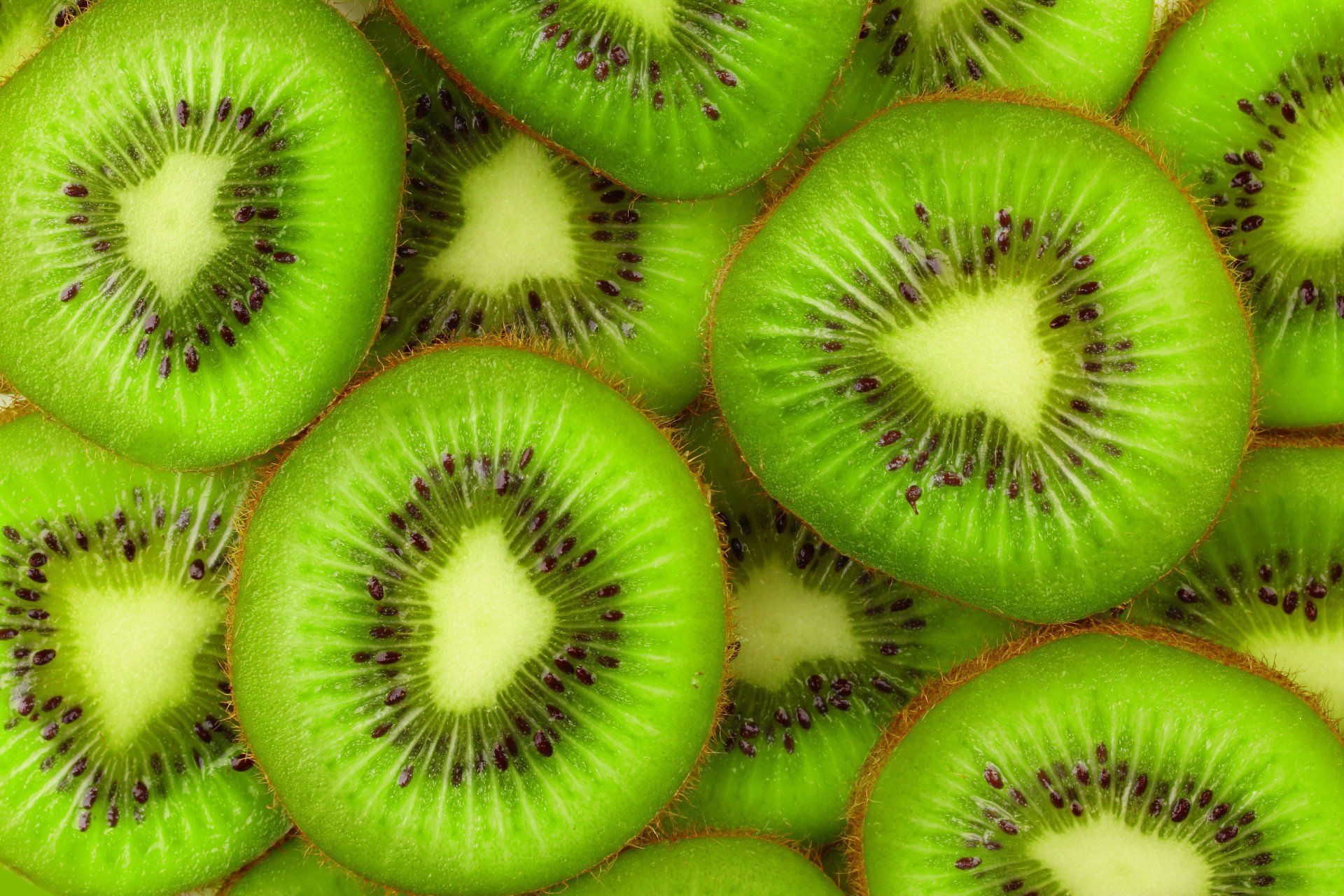 kiwi fruits slice fresh slices HD wallpaper
