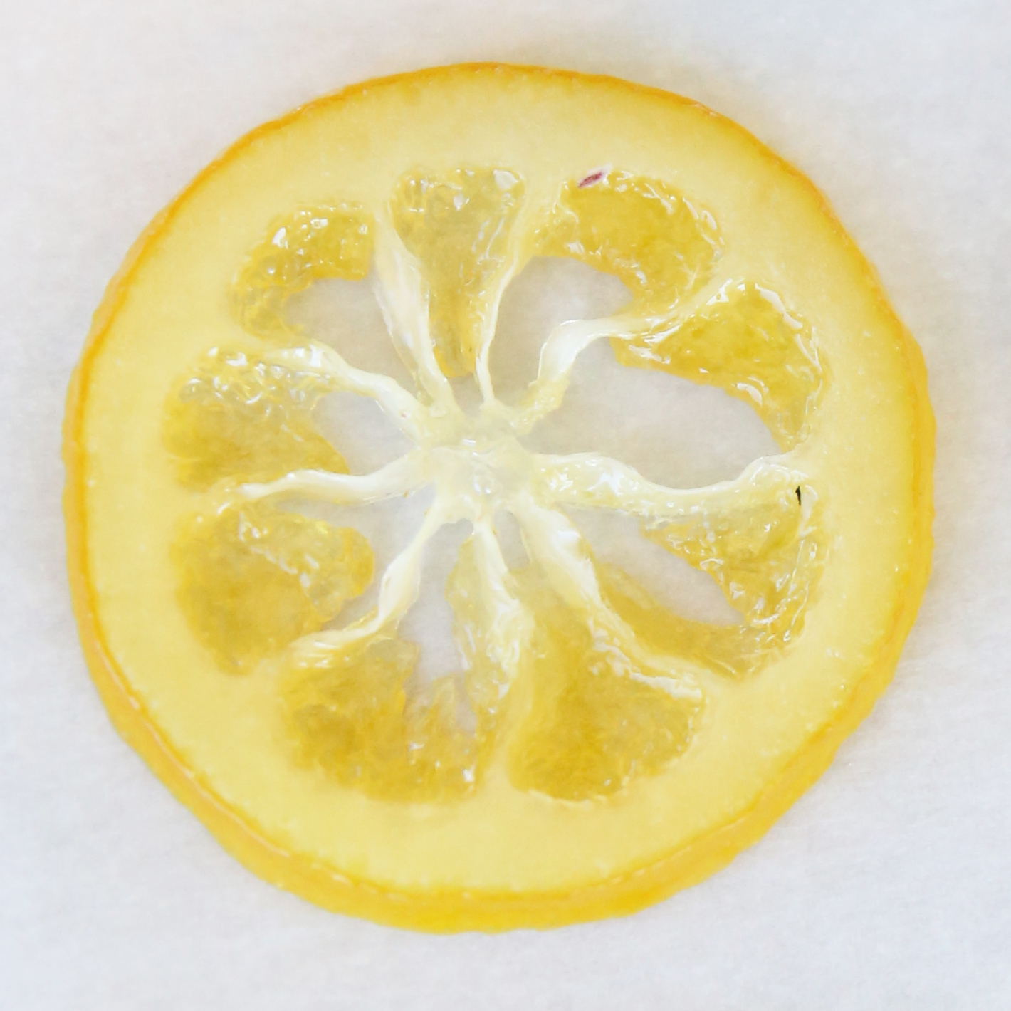 How to make Candied Lemon Slices - Our Best Bites