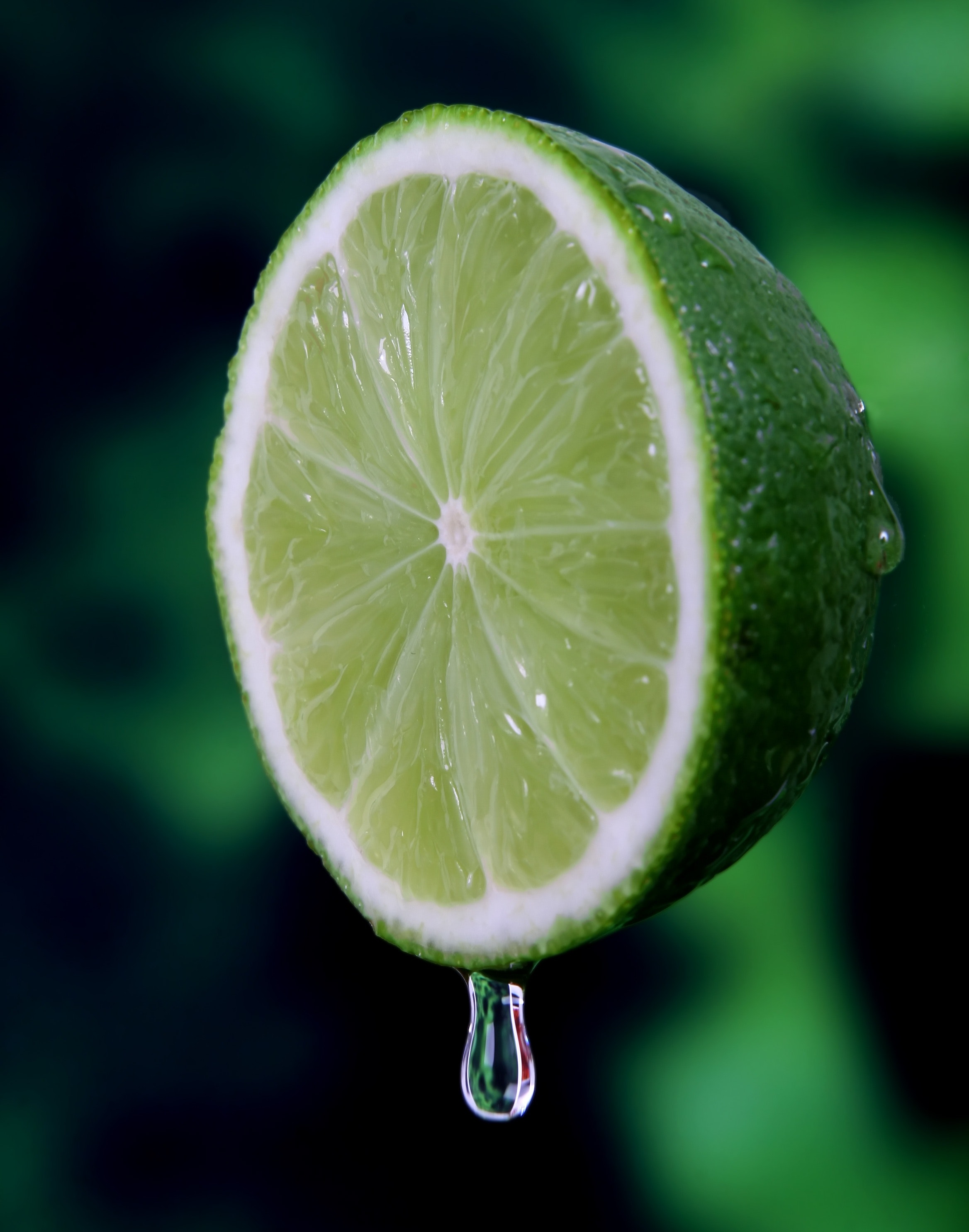 Sliced Lime, Citrus, Lime, Water, Tropical fruit, HQ Photo