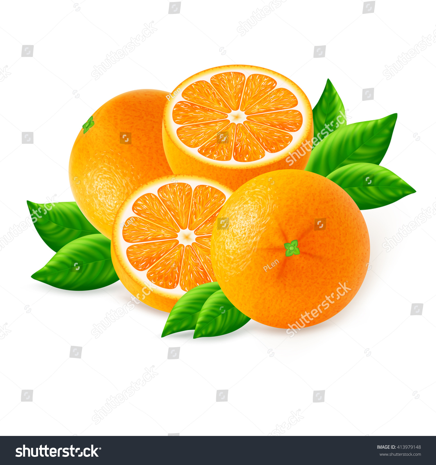 Ripe Oranges Fruits Slices Leaf Isolated Stock Vector 413979148 ...