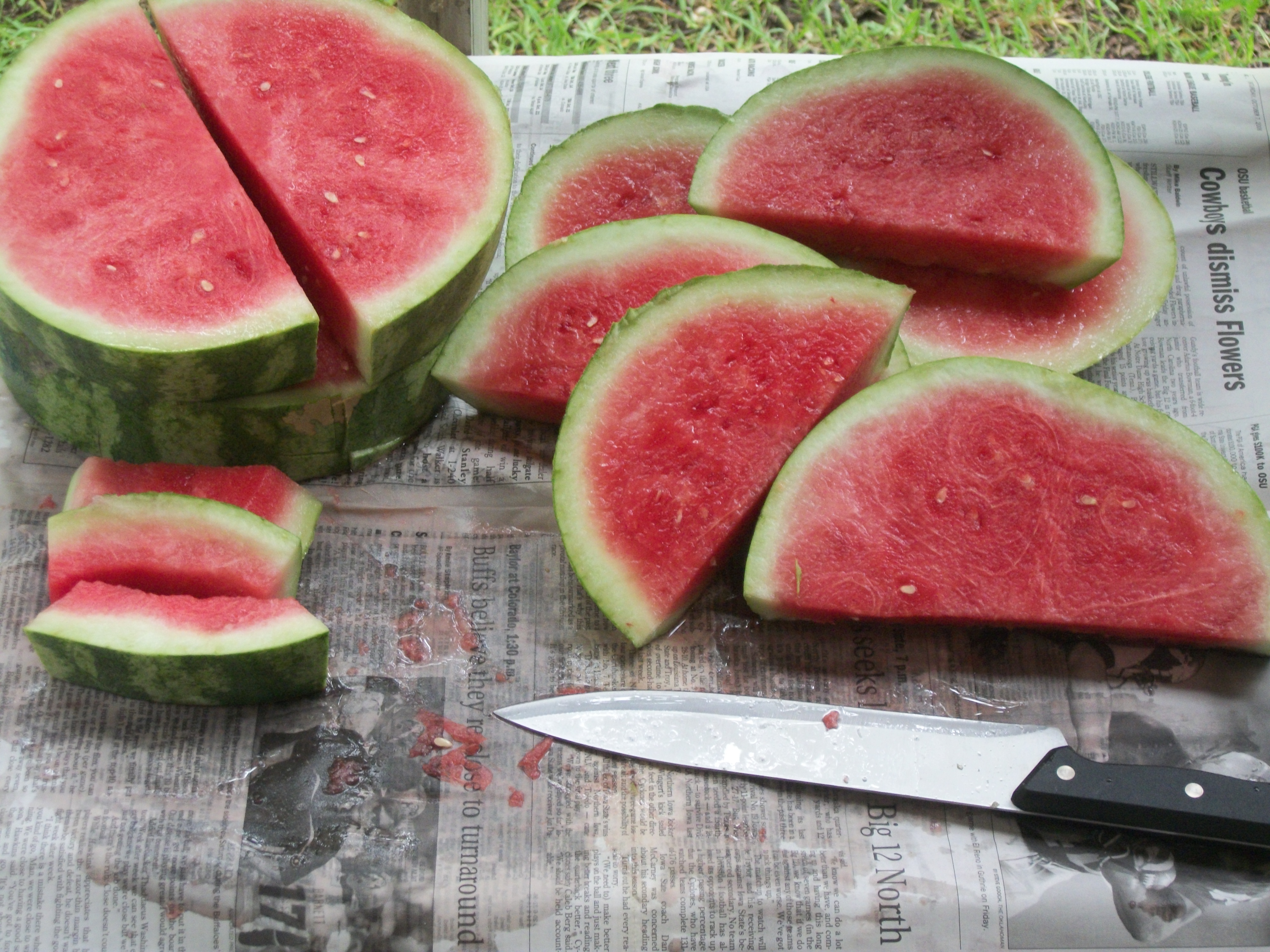 Sliced watermelon photo