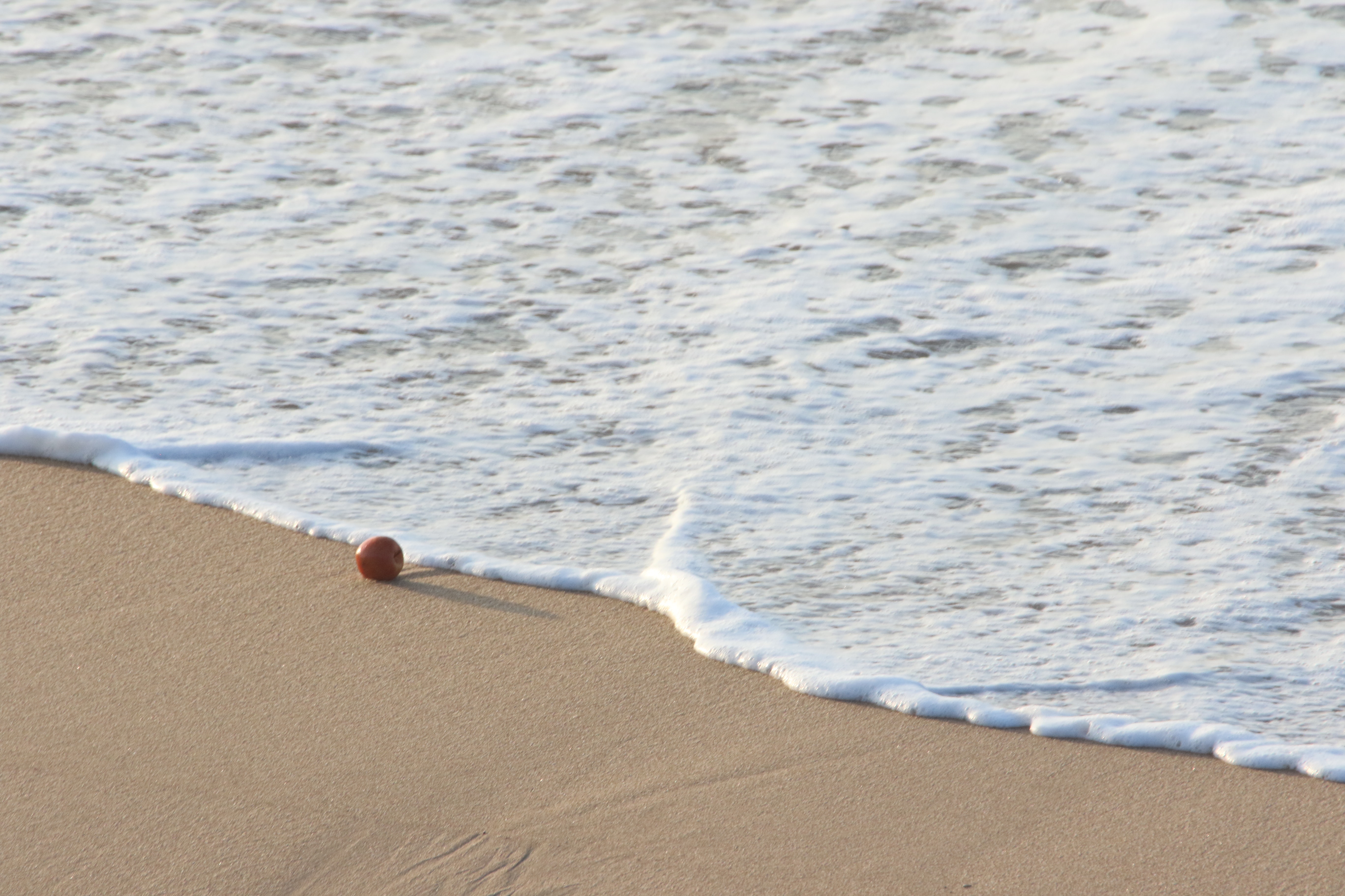 small ball on the beach near the water, small ball on the beach near the water