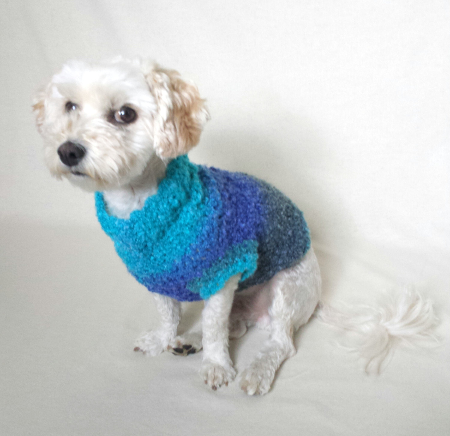 small dog sweater custom dog clothes crochet blue dog