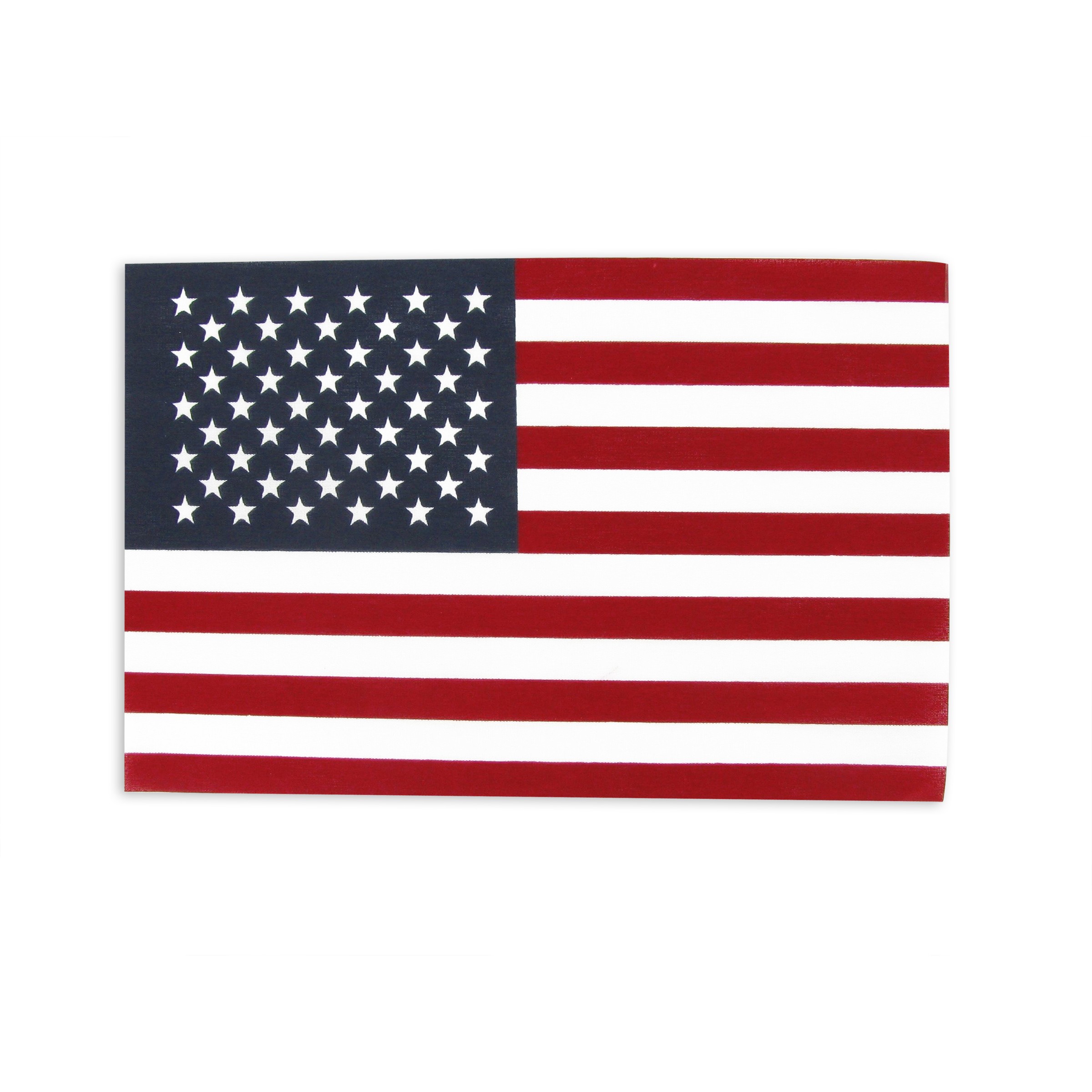 American Flag 8. 
