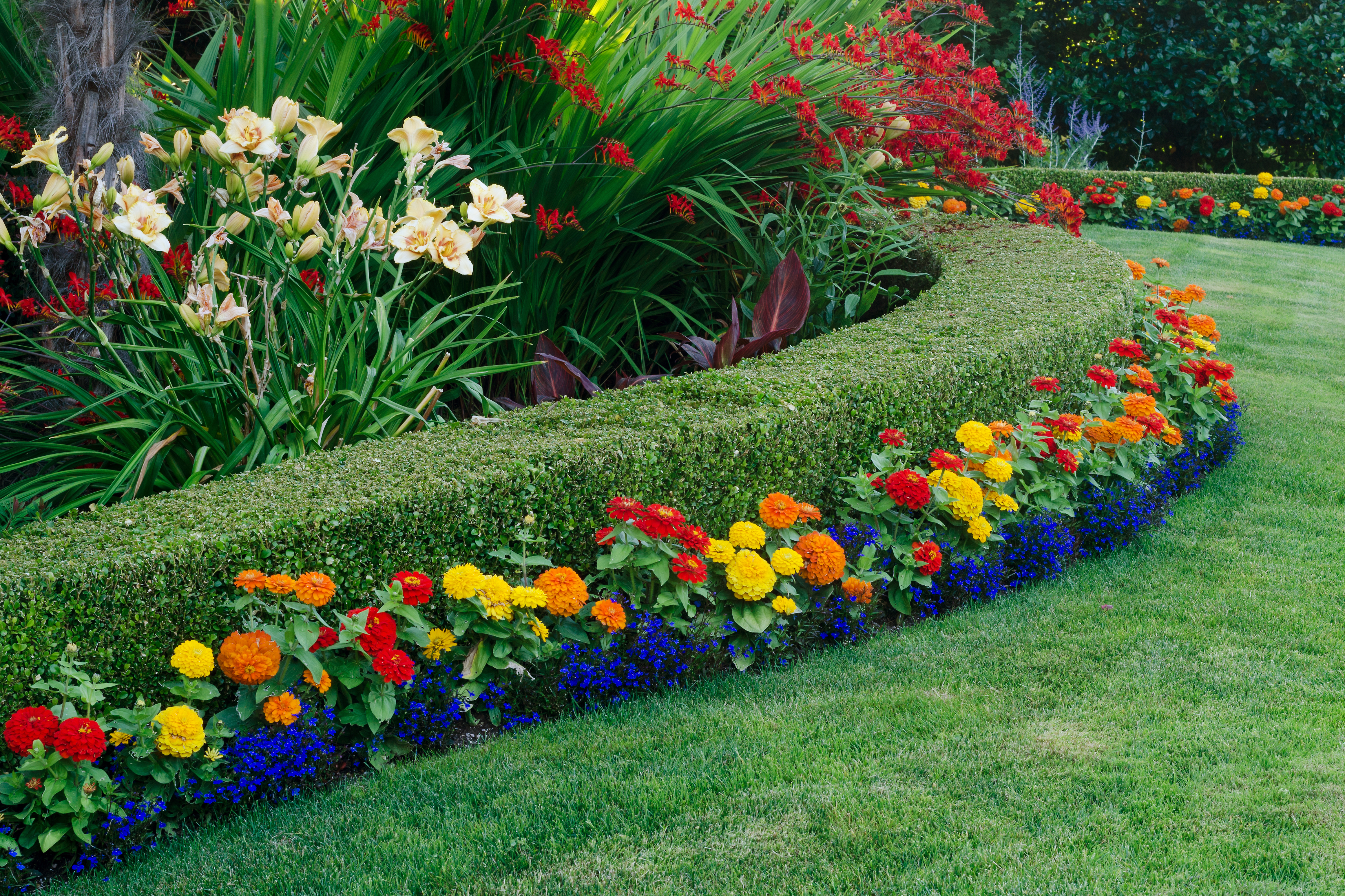 A focus on Box hedging | Best4Hedging