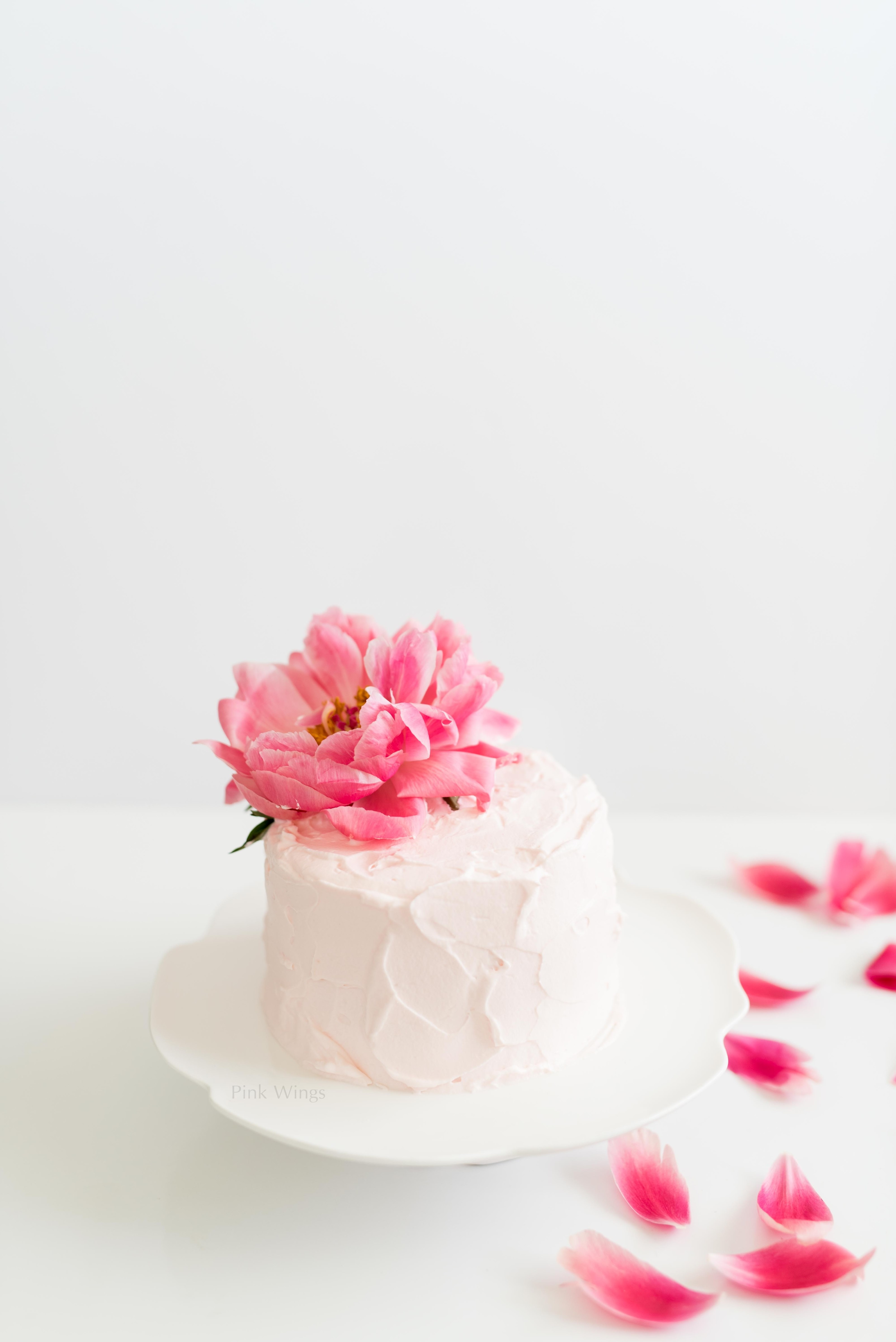 Pink Strawberry Birthday Cake | Gina Chong