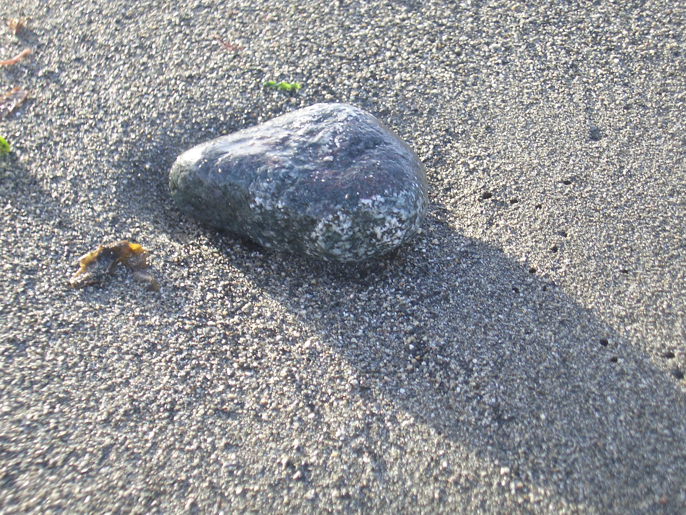 Small rock on the beach [image 500x375 pixels]