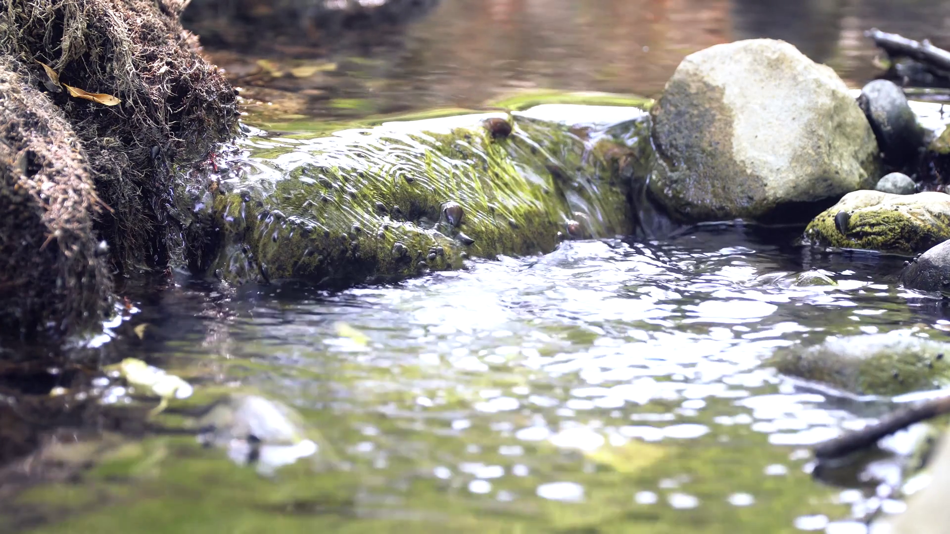 Small waterflow with a tiny fall of a creek, seamless looping in 4k ...