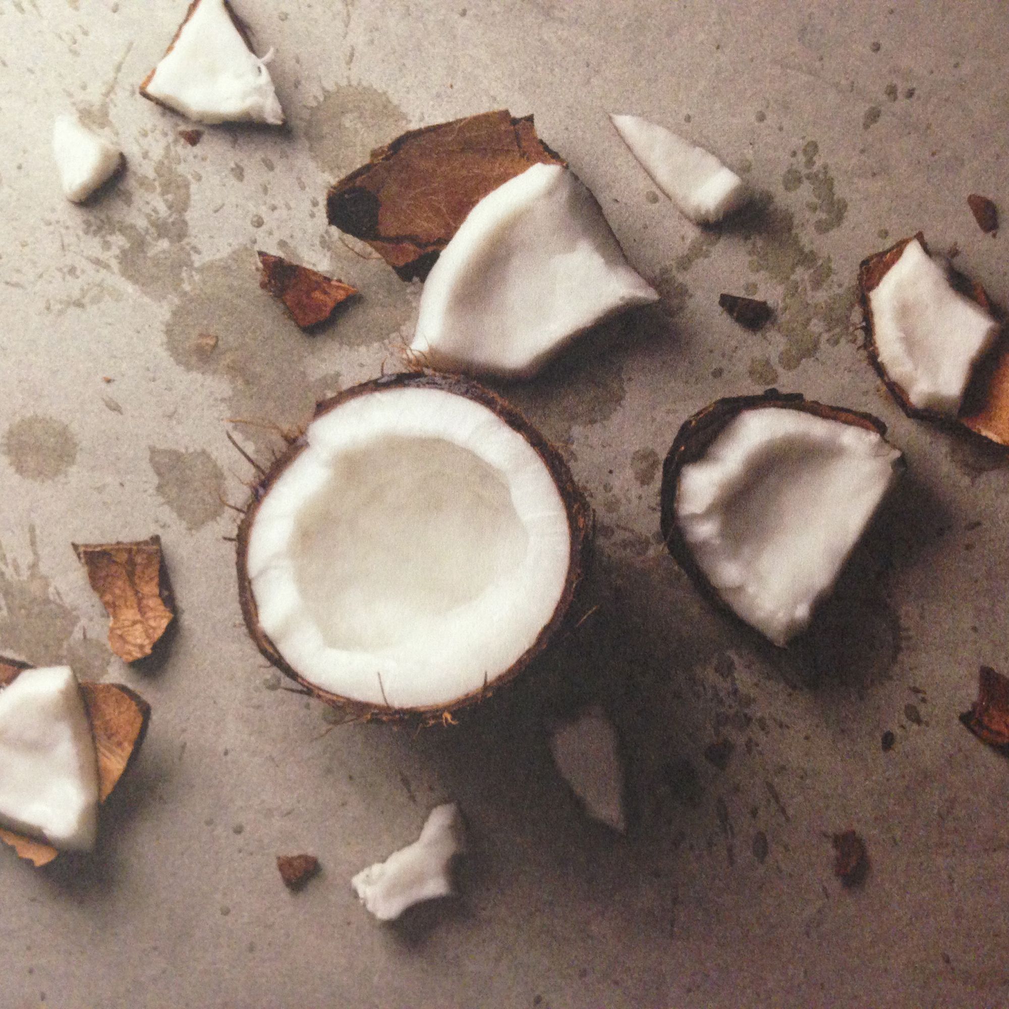 smashed coconut | product photography | Pinterest | Product ...