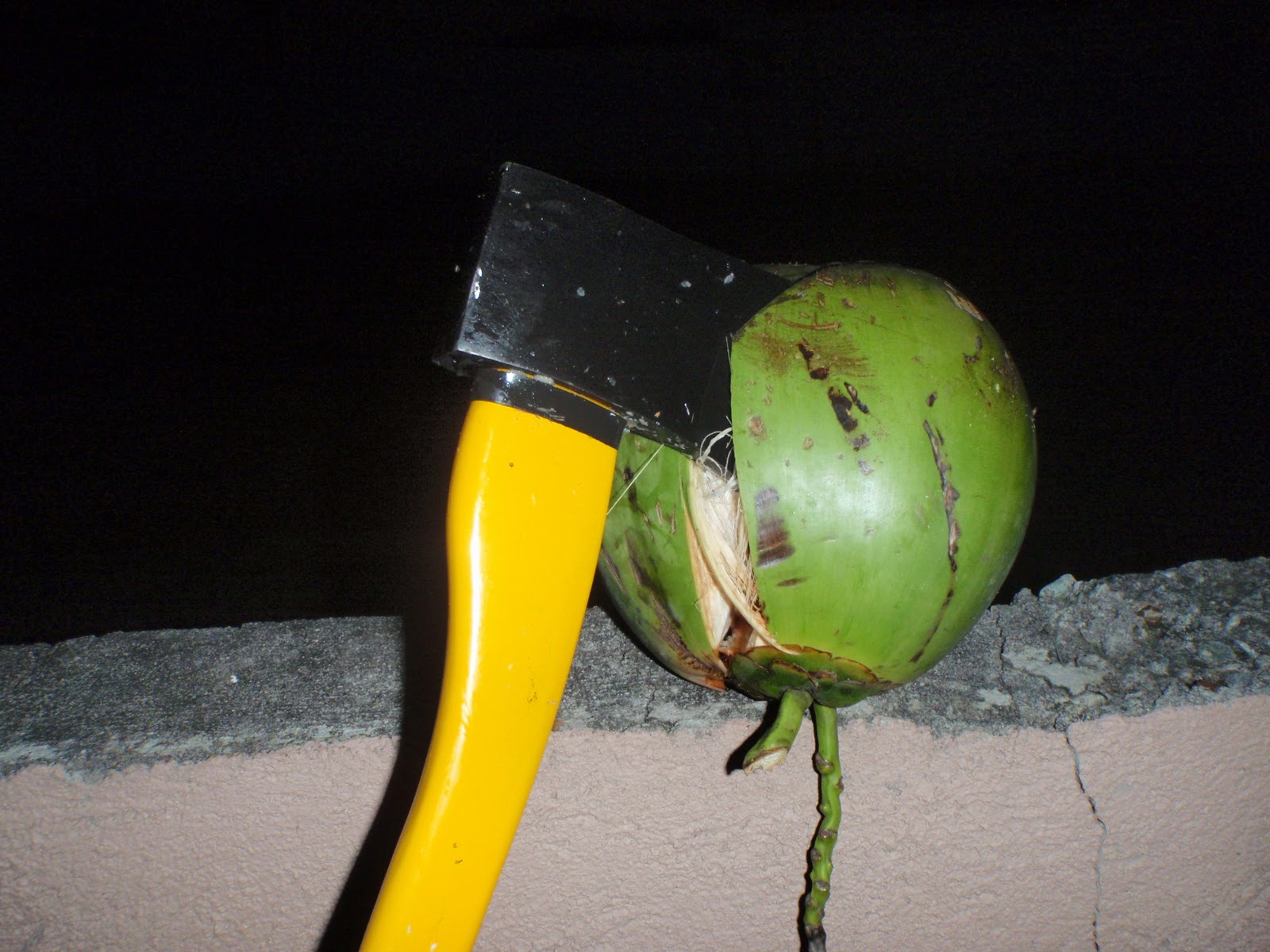 THE ZOMBIE HUNTER: A Survivalist's Journal: The Smashing Coconut ...