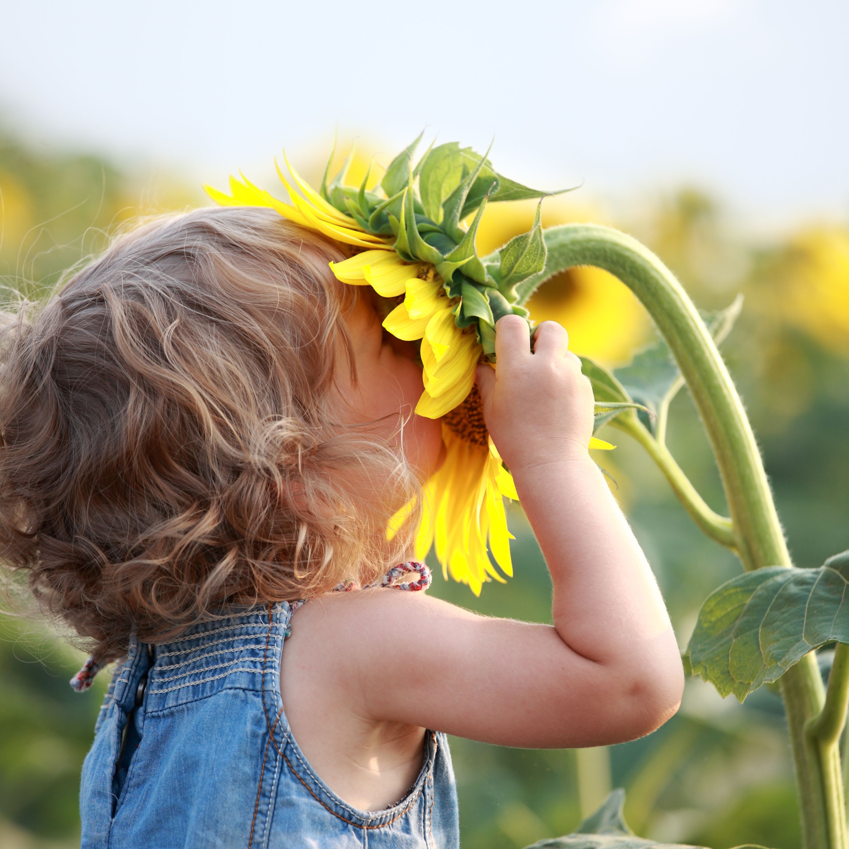 Children learn through their senses | Sensory ideas | Pinterest ...
