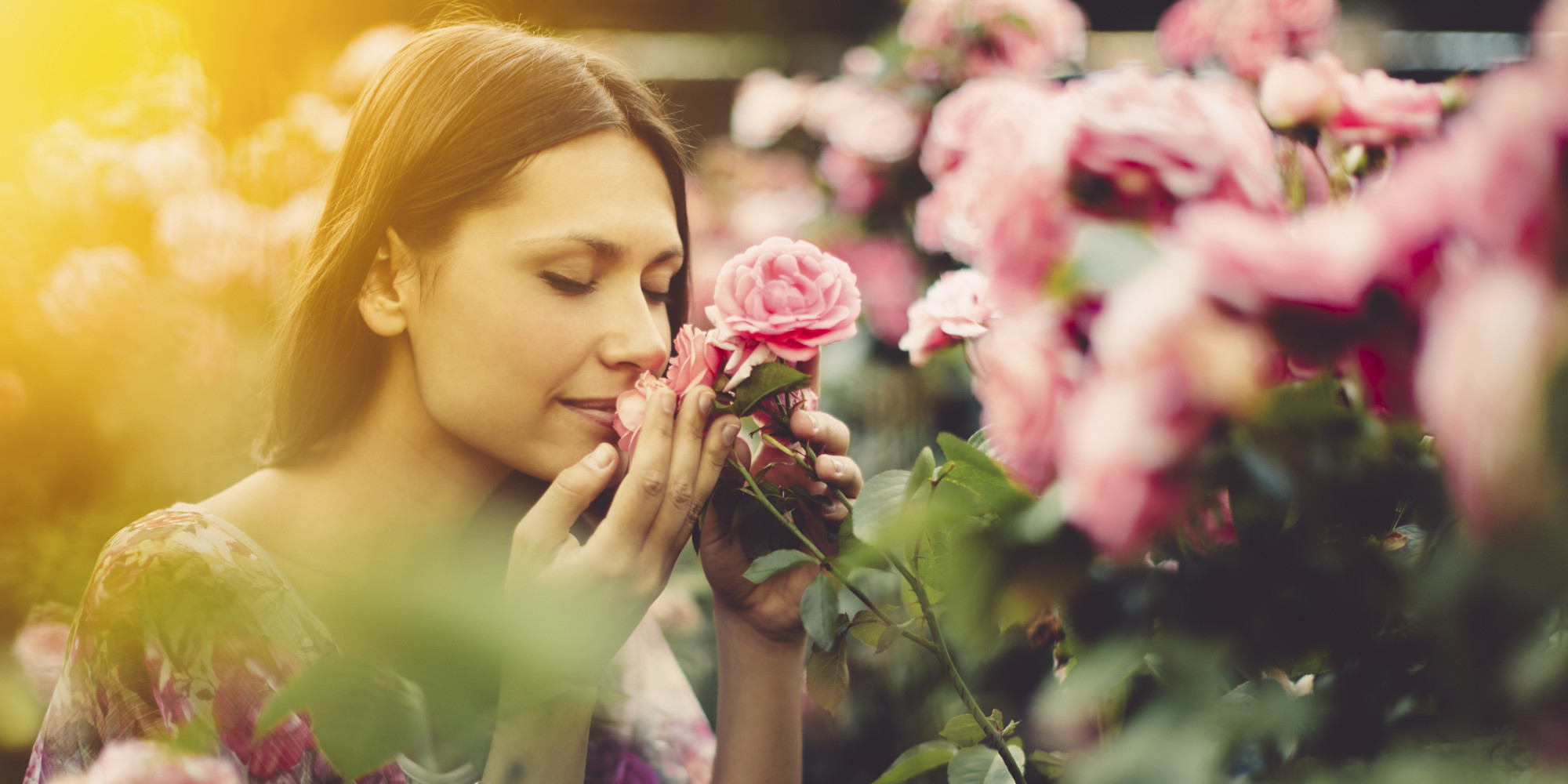 Free photo: Smelling the flowers - Blond, Face, Female - Free Download