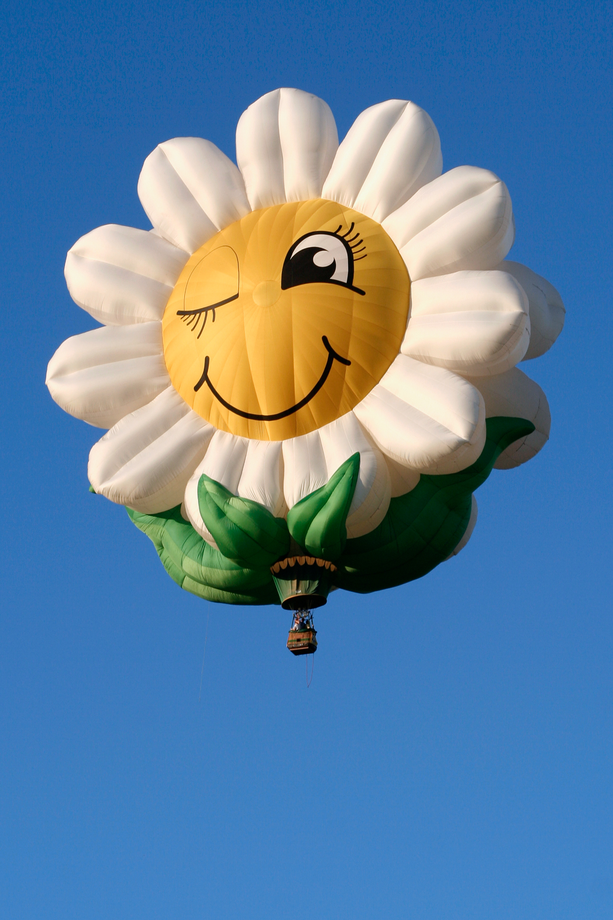 Smiling daisy air balloon photo
