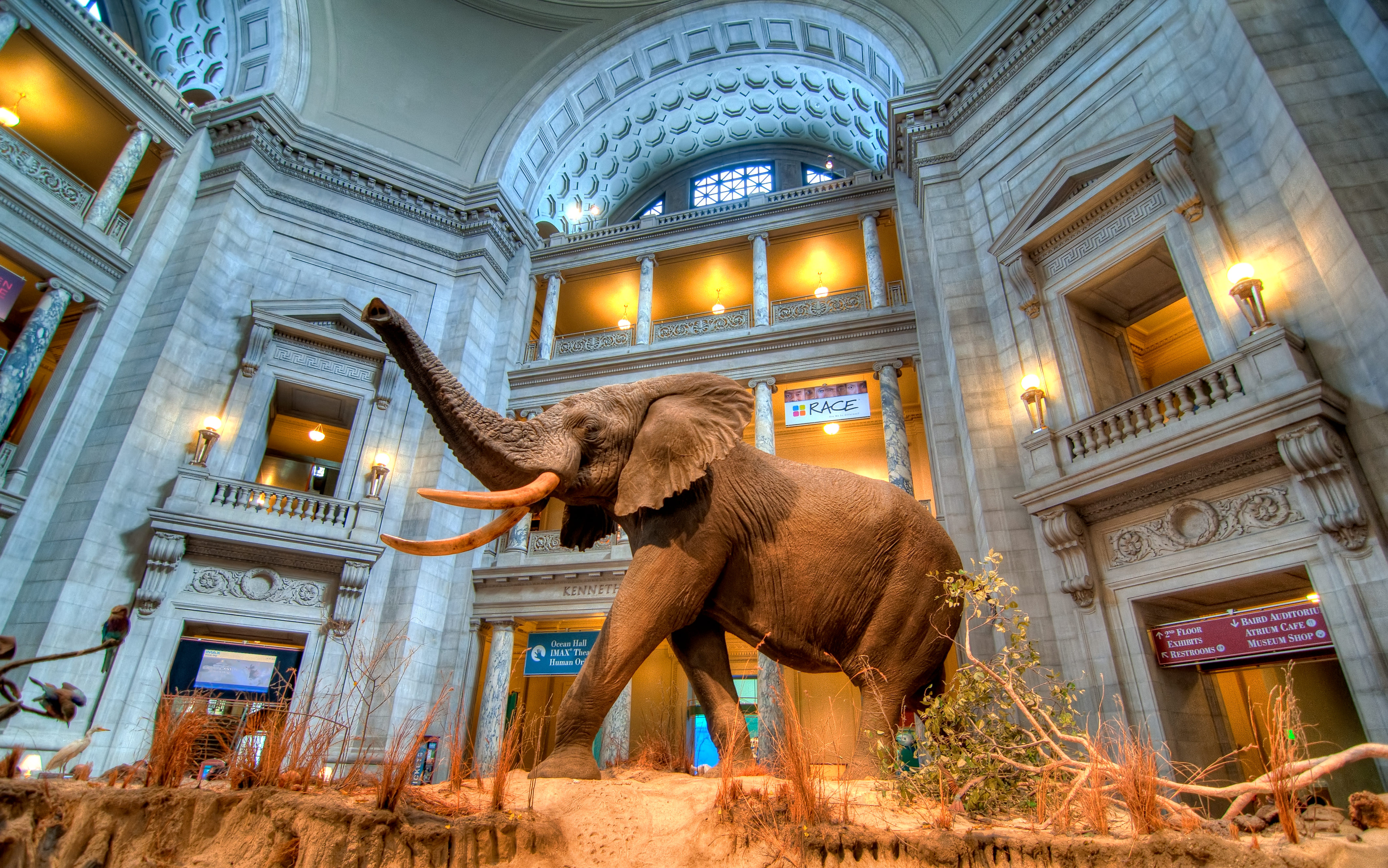 Photo: Smithsonian Museum of Natural History | Mike Heller ...