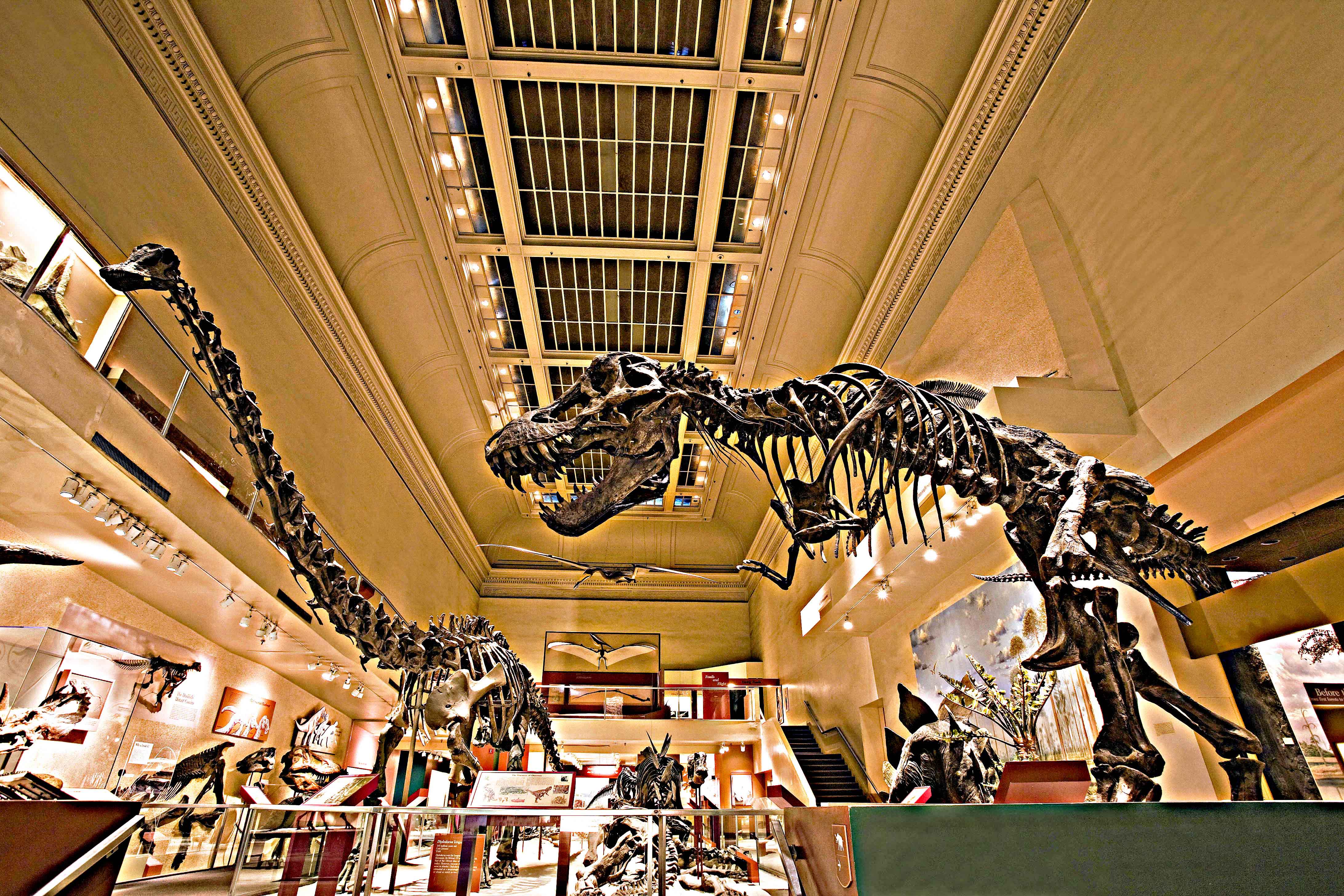 $35-million donation will build new dinosaur hall at National Museum ...