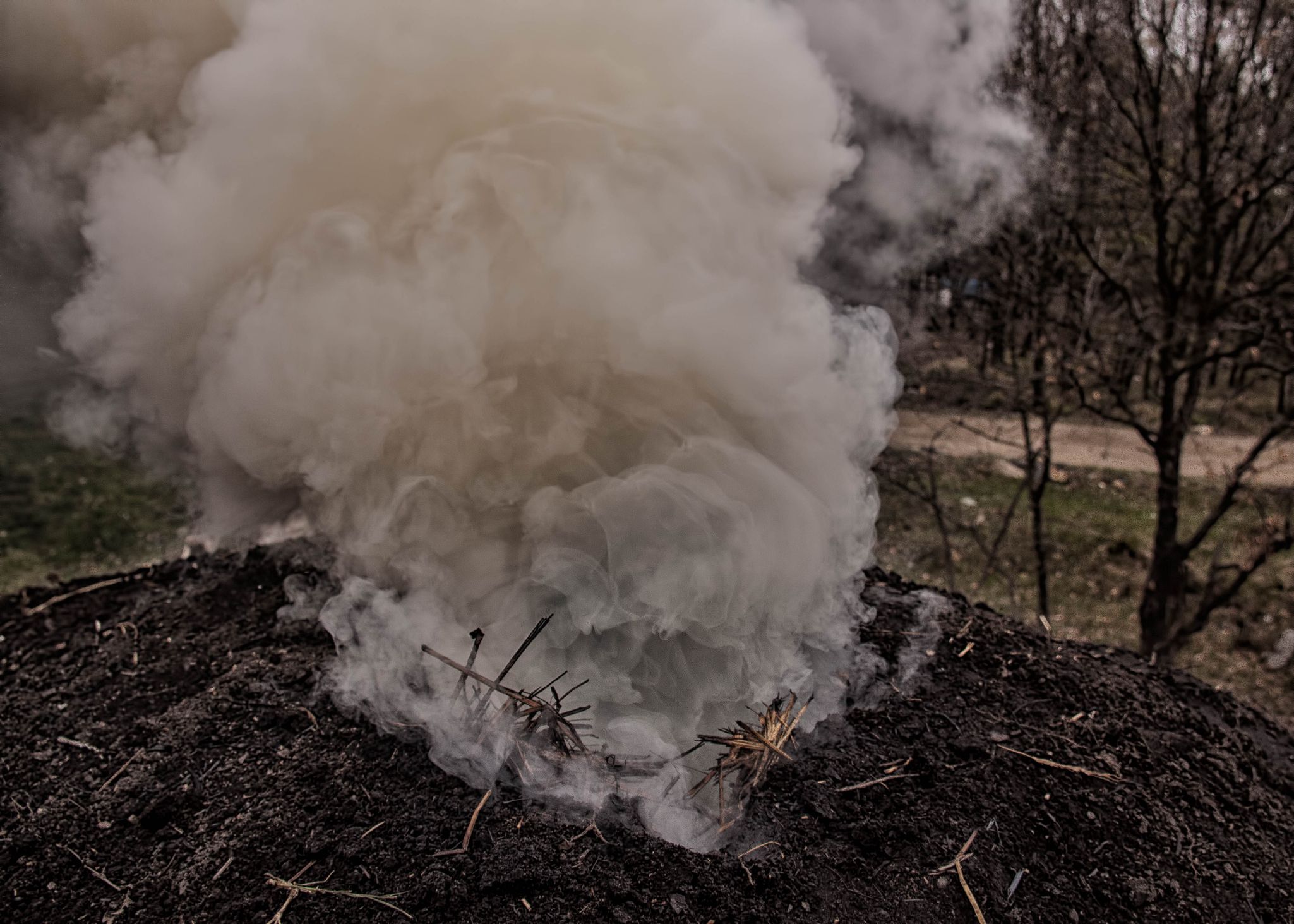 The Chemical Composition of Wood Smoke