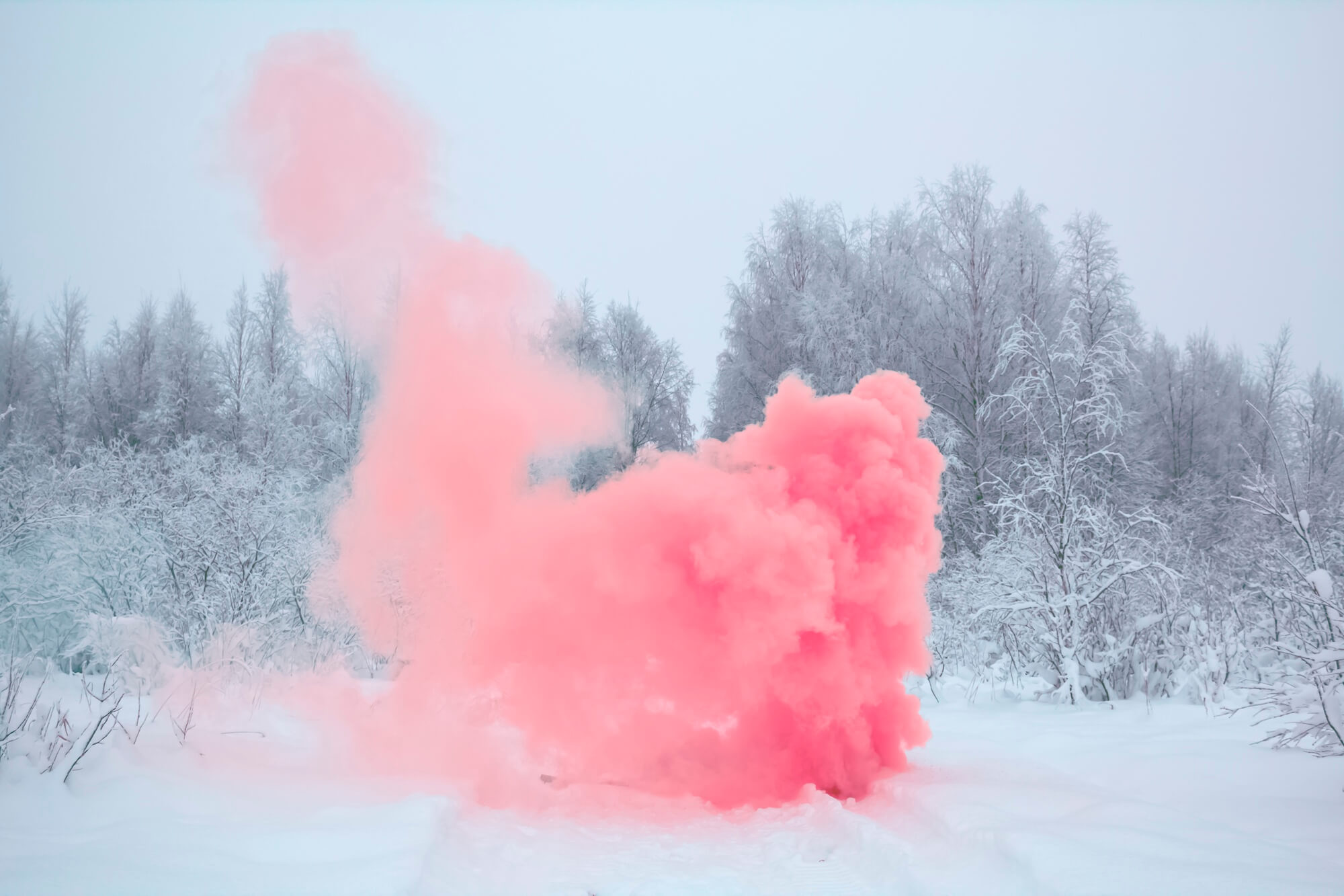 Maria Lax: Pink Smoke - Open Doors Gallery