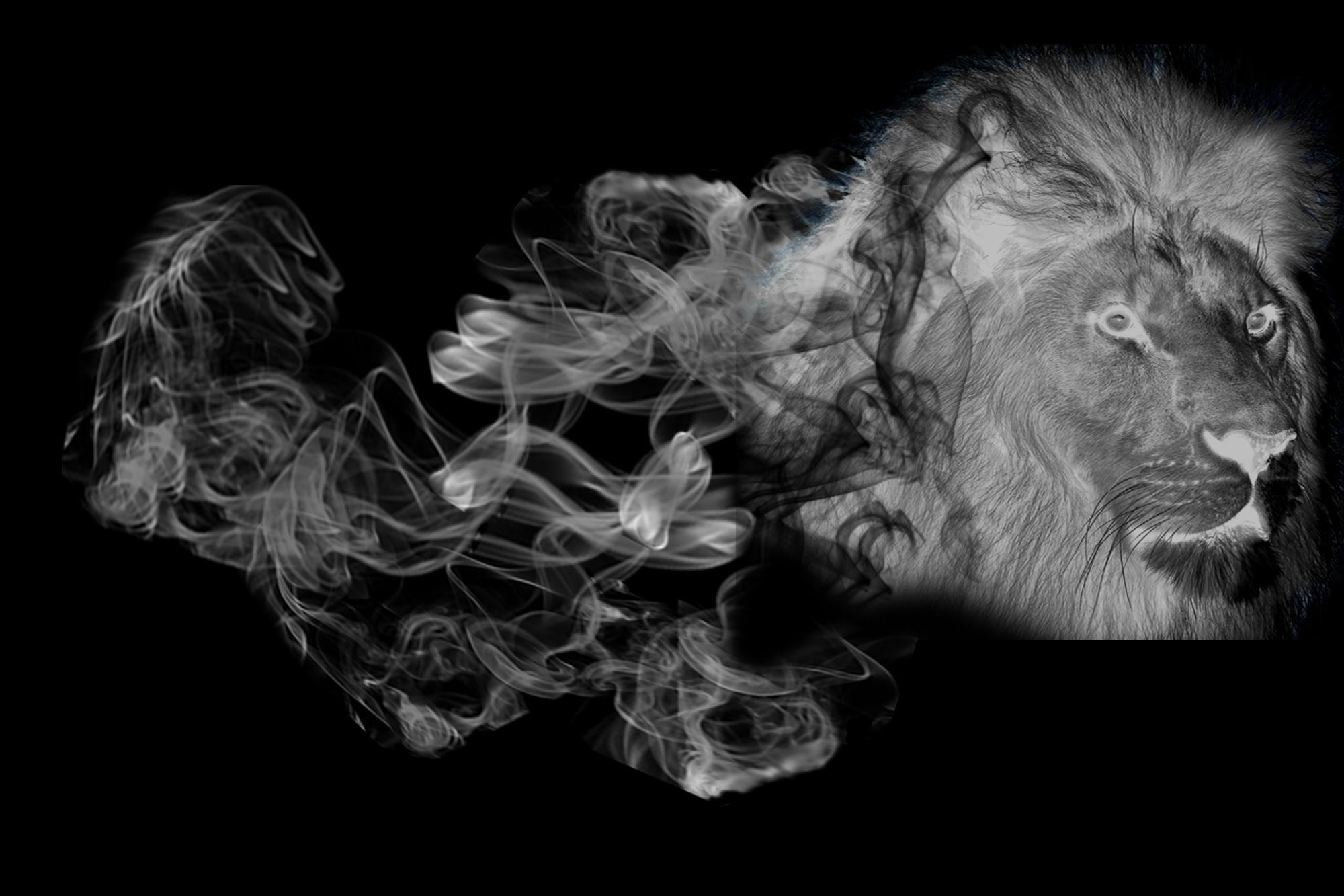 Smoke Effect PNG Transparent Smoke Effect.PNG Images. | PlusPNG