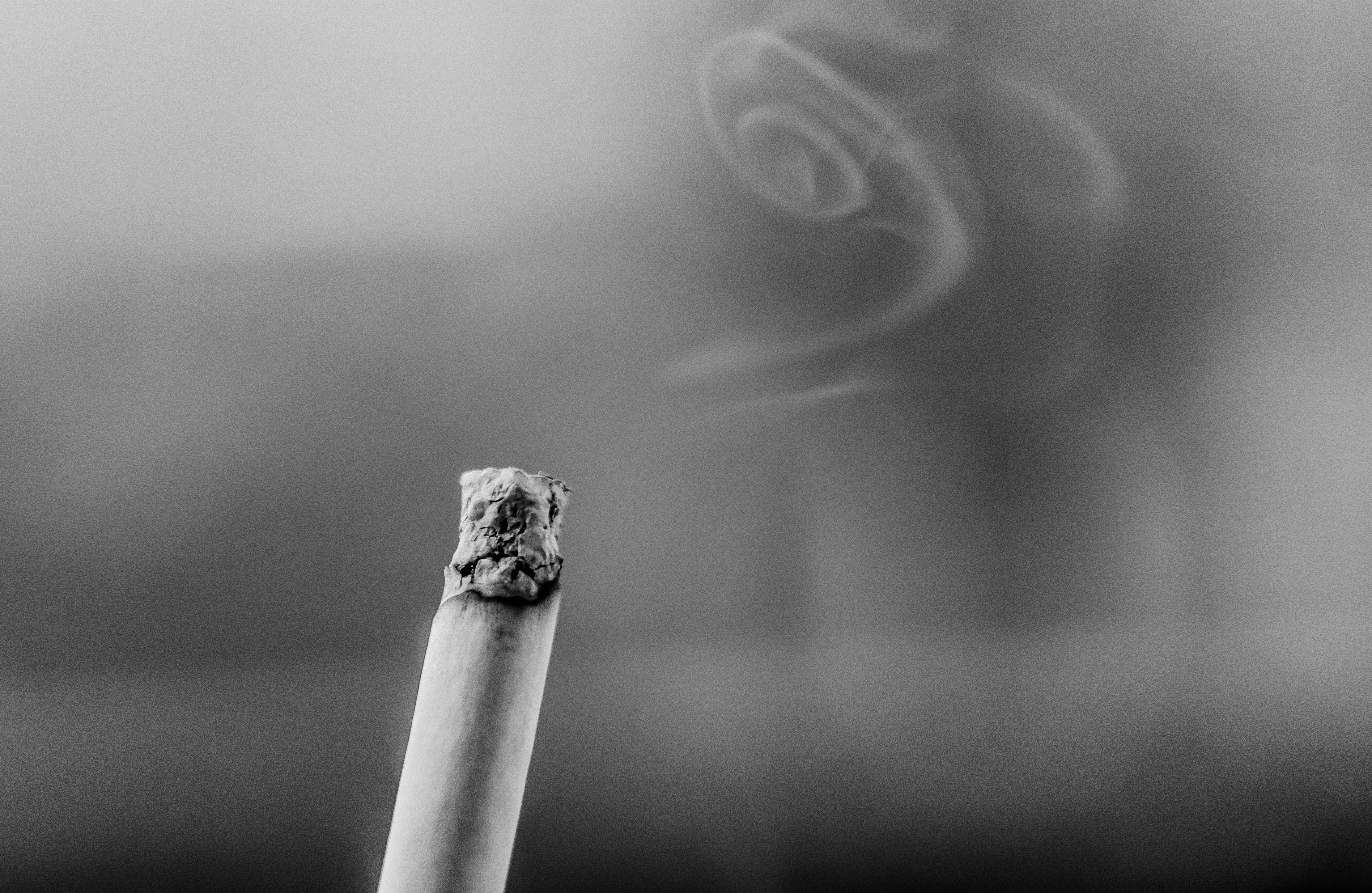 Free stock photo of black-and-white, cigarette, fag