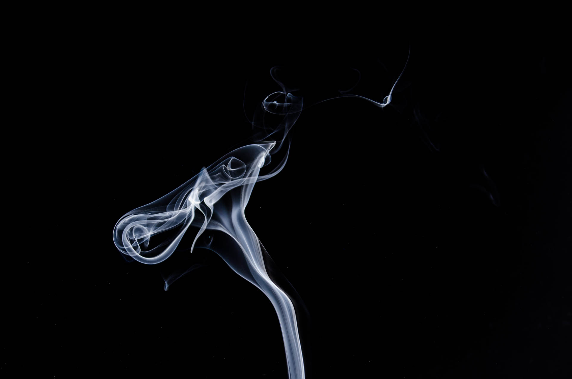 Free Stock Photo of White Smoke Abstract -